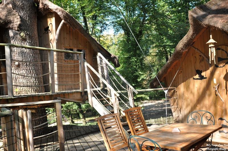 Cabane des Ouistitis : une expérience suspendue dans les arbres à Magné — espace de vie