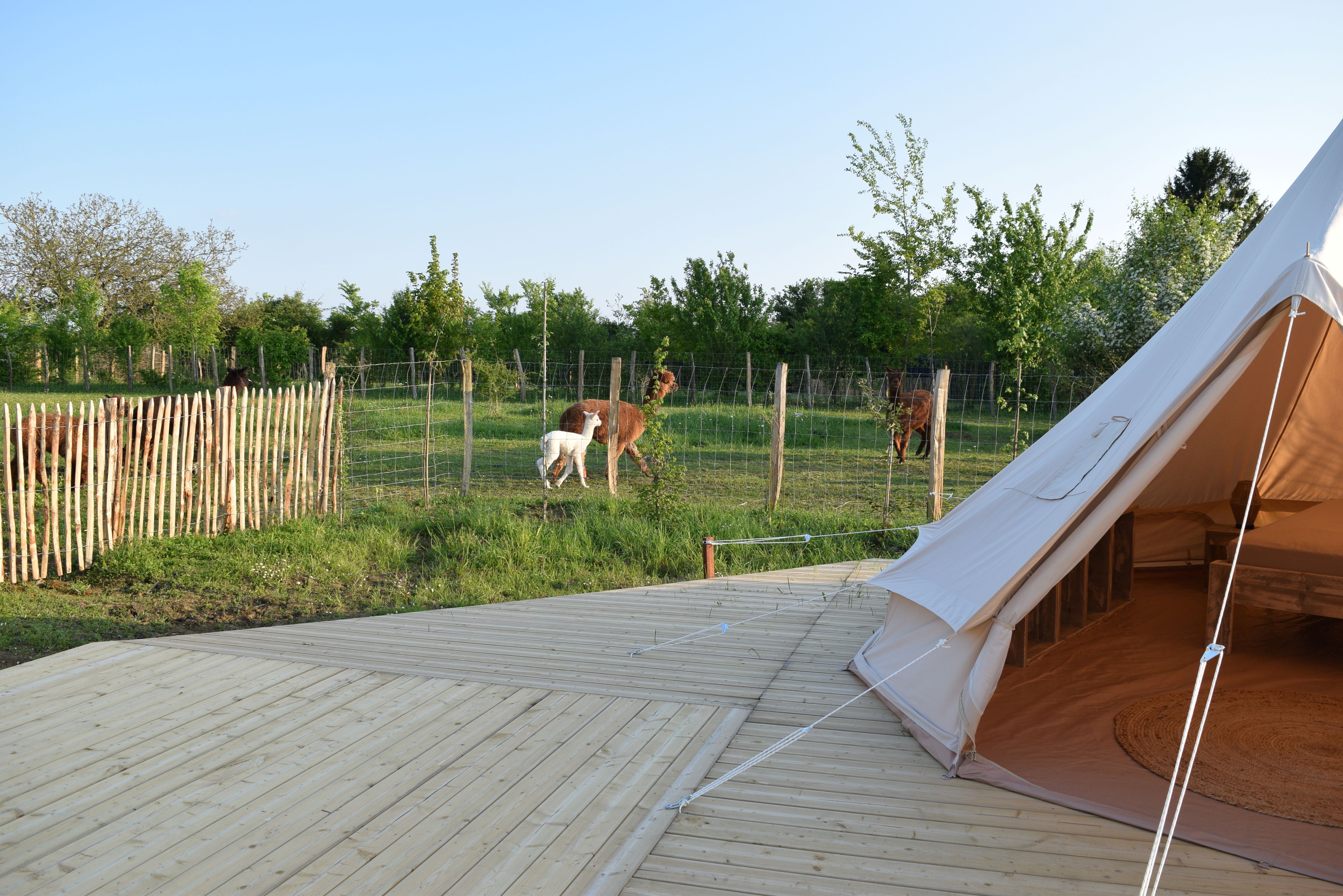 Tente Inca — Séjour nature avec spa à Maine-et-Loire à Angers — chambre