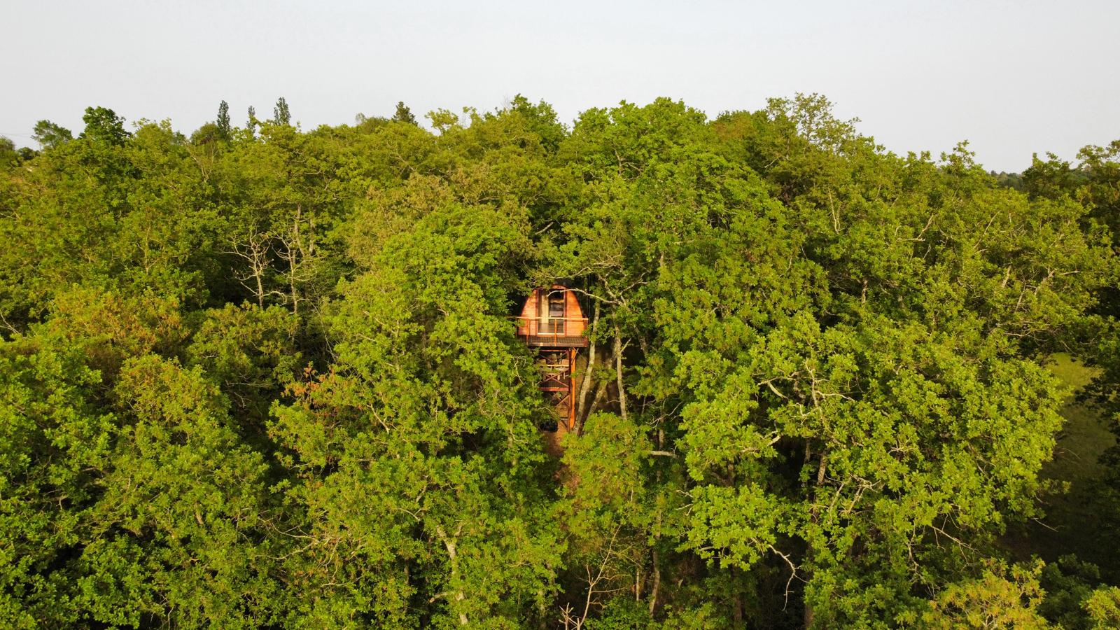 La cabane entre les cimes — Cabane sur pilotis avec vue panoramique à Haute-Garonne