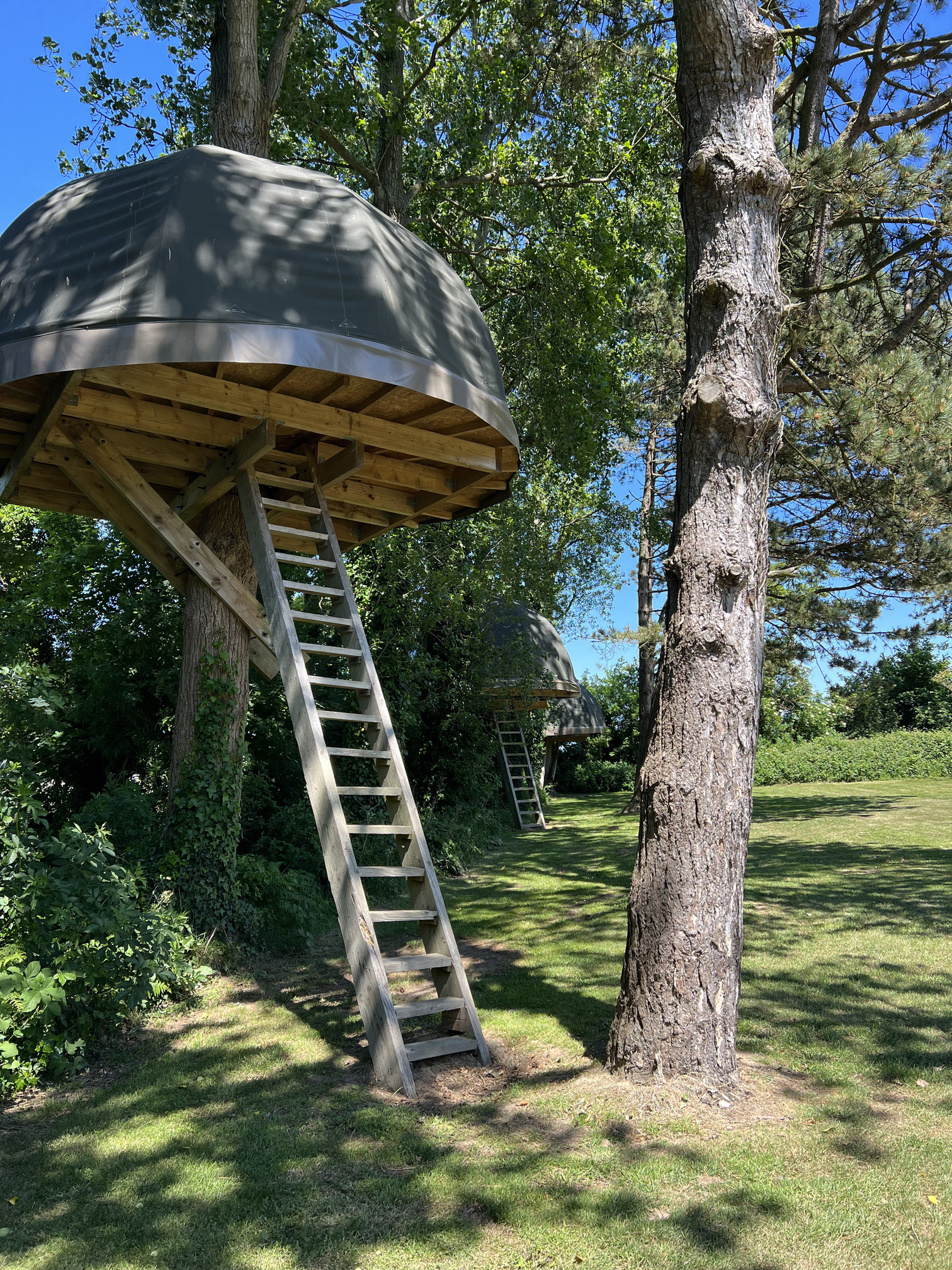 Treecamp-Etretat Aventure — Cabane dans les arbres à 6m en Seine-Maritime à Étretat — espace de vie