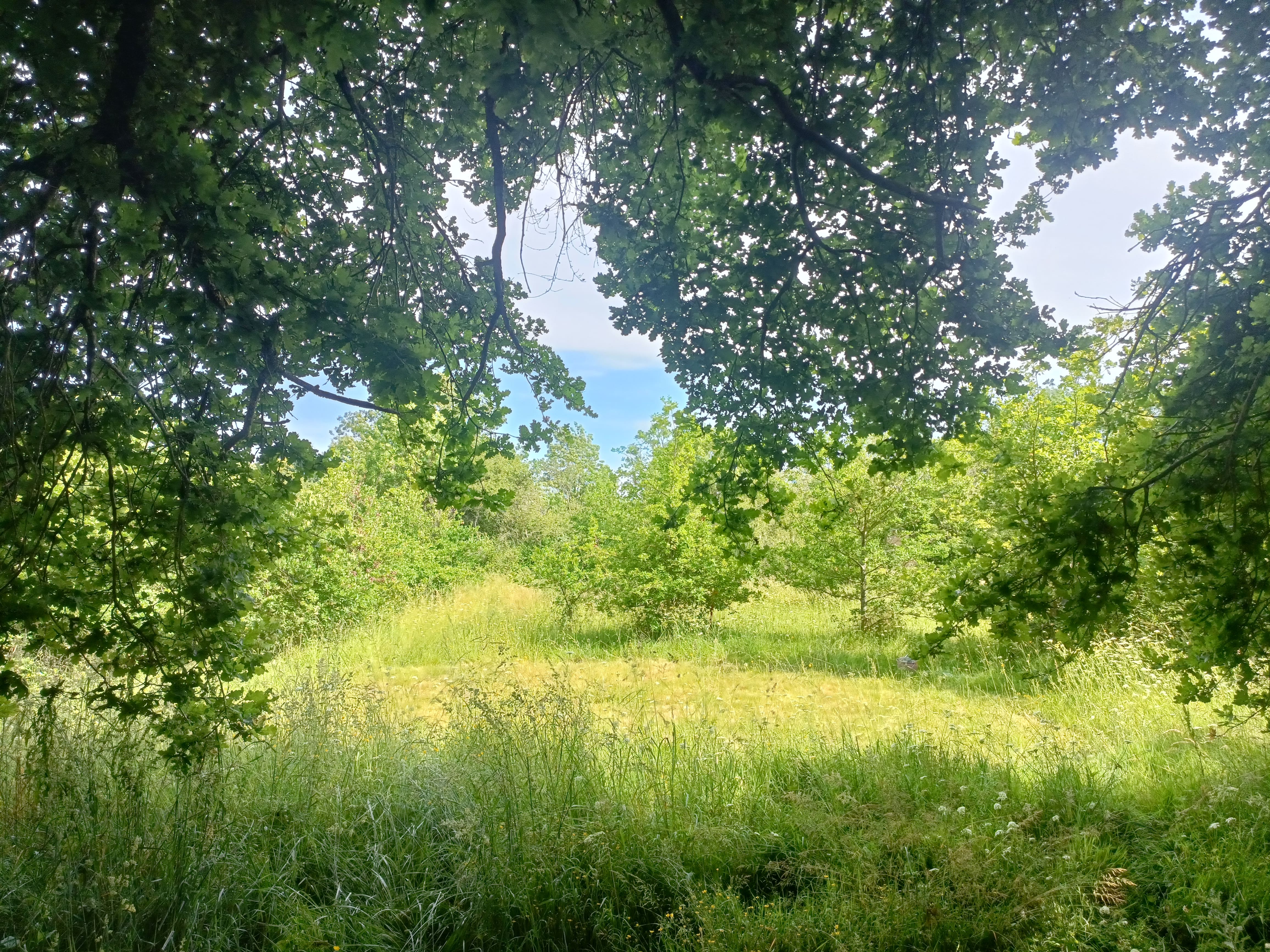 Entre rêves et chêne — Bulle avec spa à Vienne à Vienne — cuisine