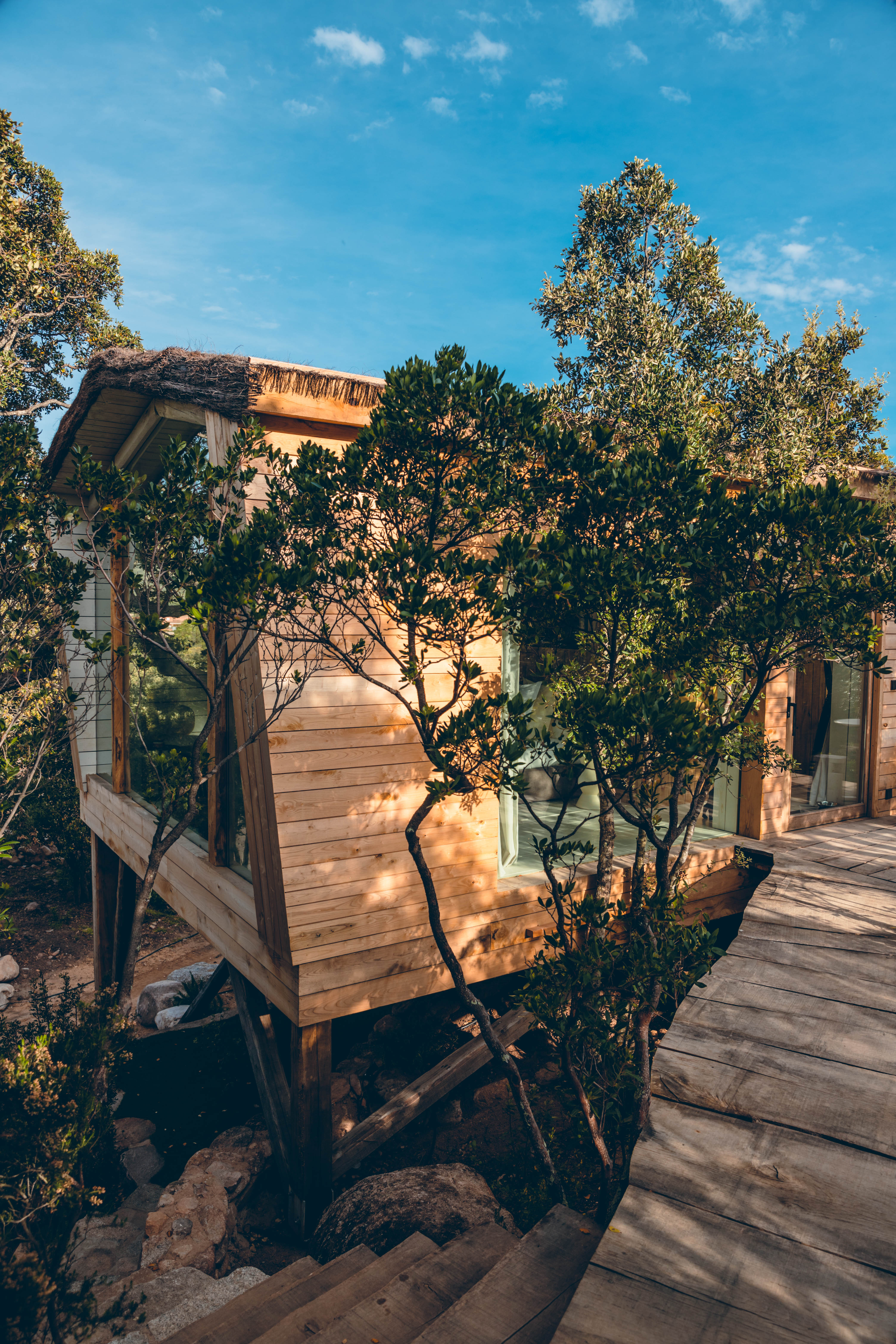 Aquilae, Cabane Casanghjulina — Cabane dans les arbres avec spa en Corse-du-Sud à Ajaccio — espace de vie