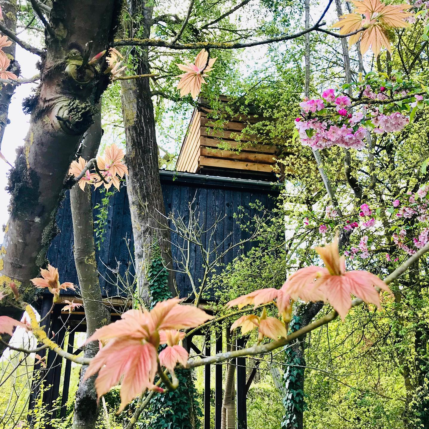 Cabane Pinot Noir — Nuit perchée à 5m en Marne à Châlons-en-Champagne — vue intérieure