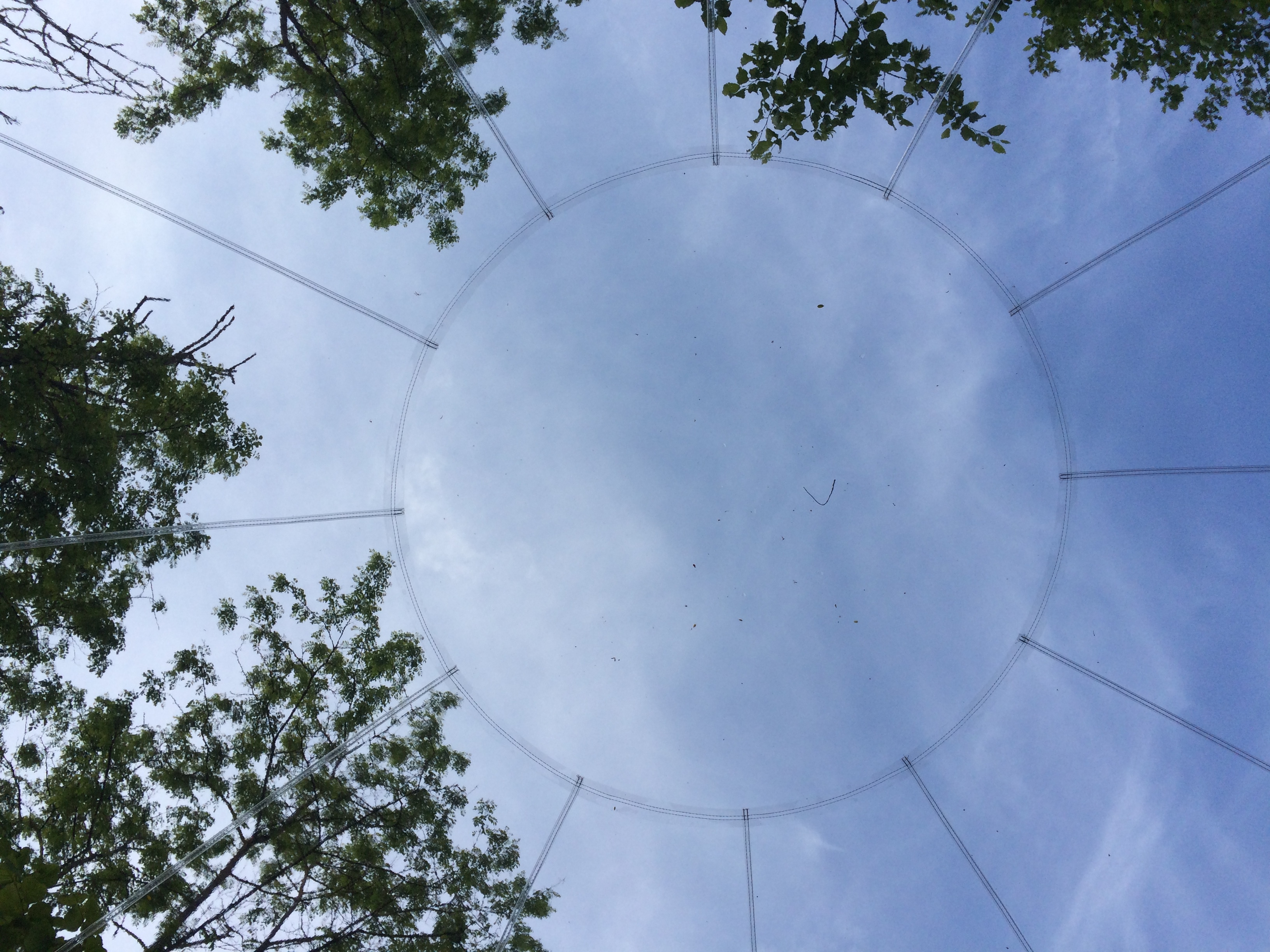 La Bulle - La Grange d'Hélène