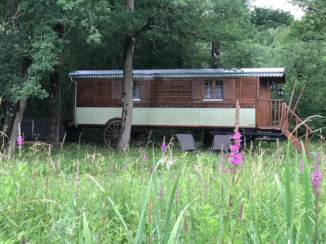 Roulotte Spa Forestière : un cocon de bien-être en pleine nature à Descartes — vue intérieure