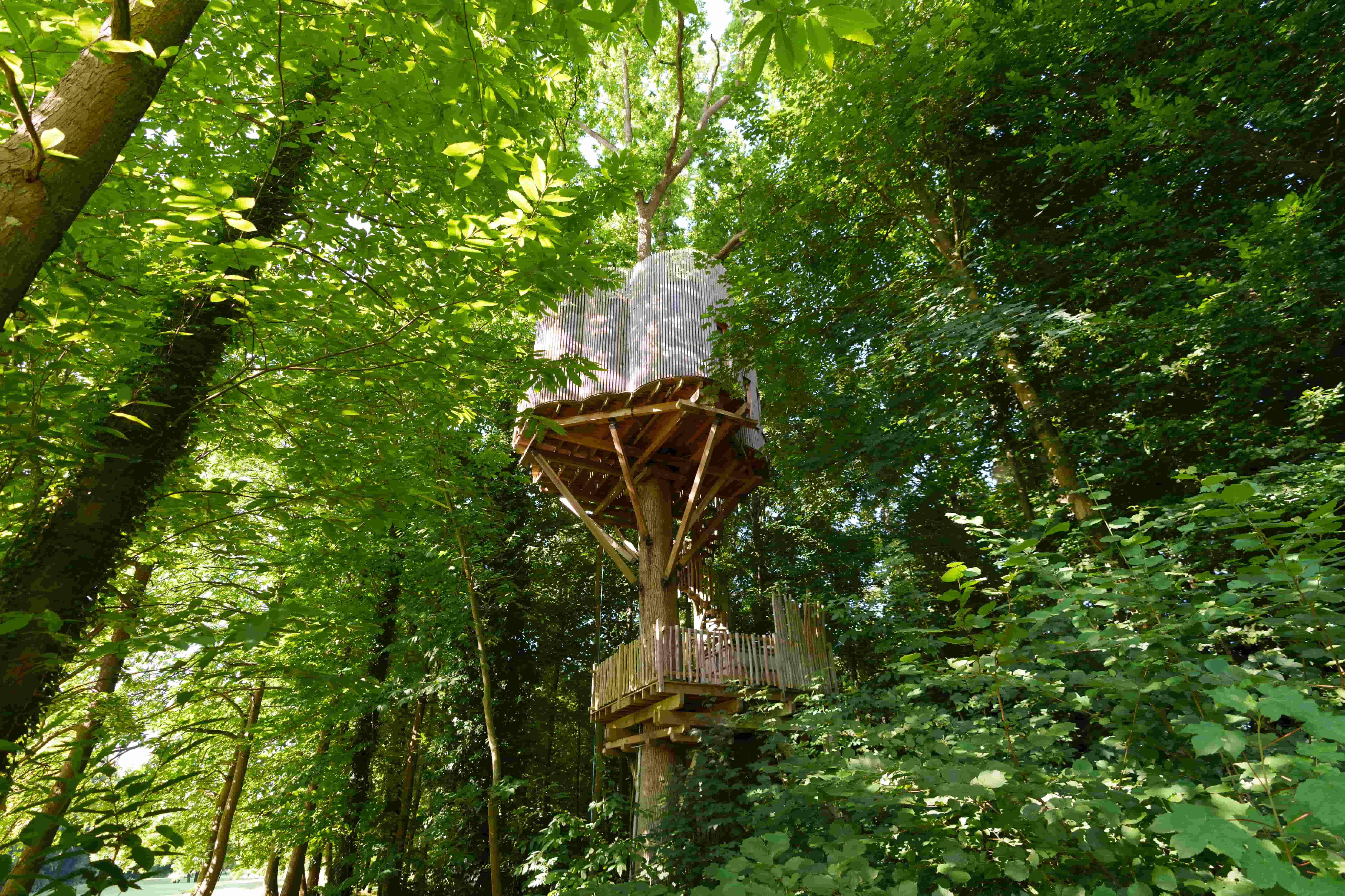 Cabane Spa Émotion : une expérience unique dans les arbres — Cabane à Raray