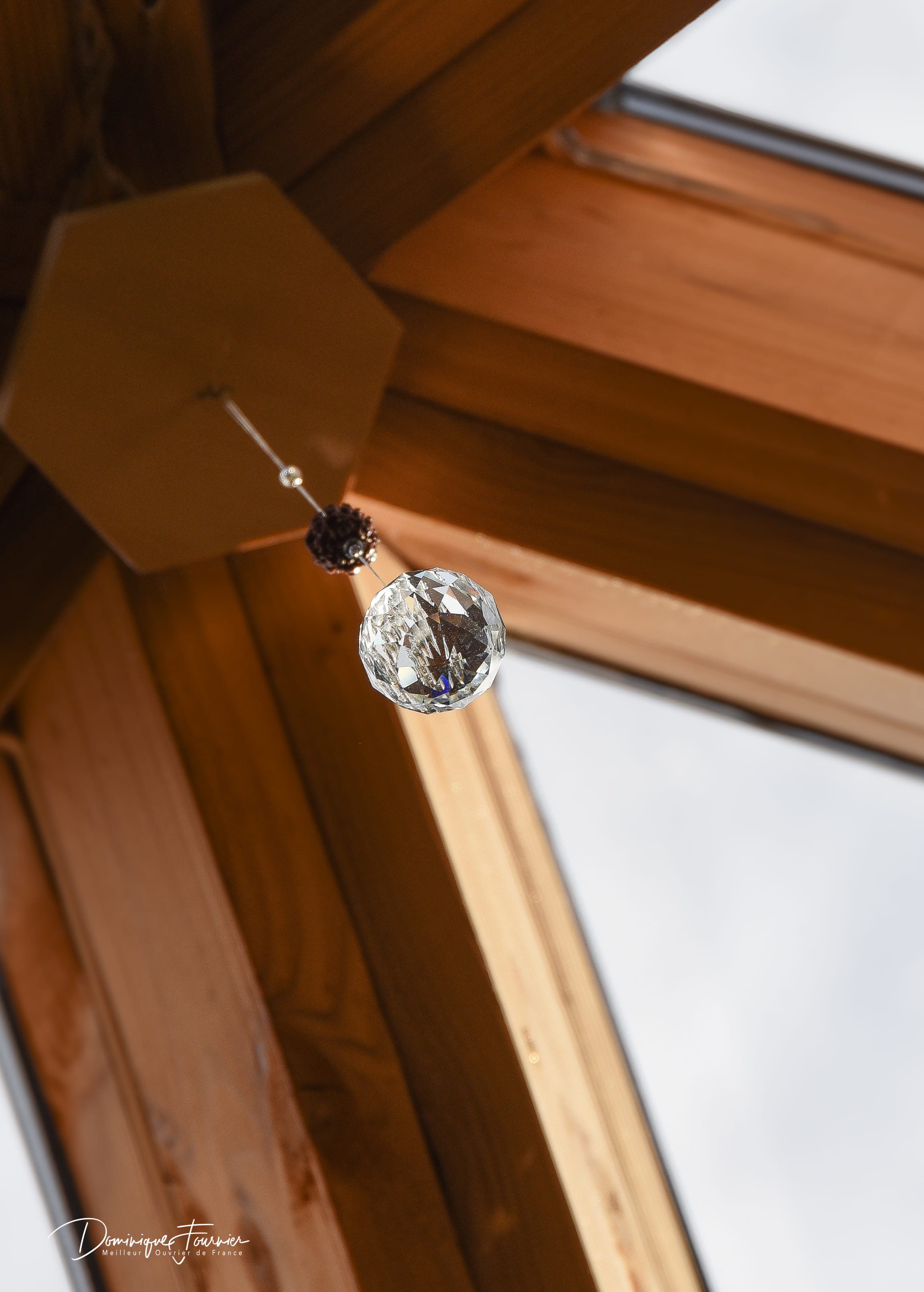 Apizome - Vue panoramique sur les Pyrénées