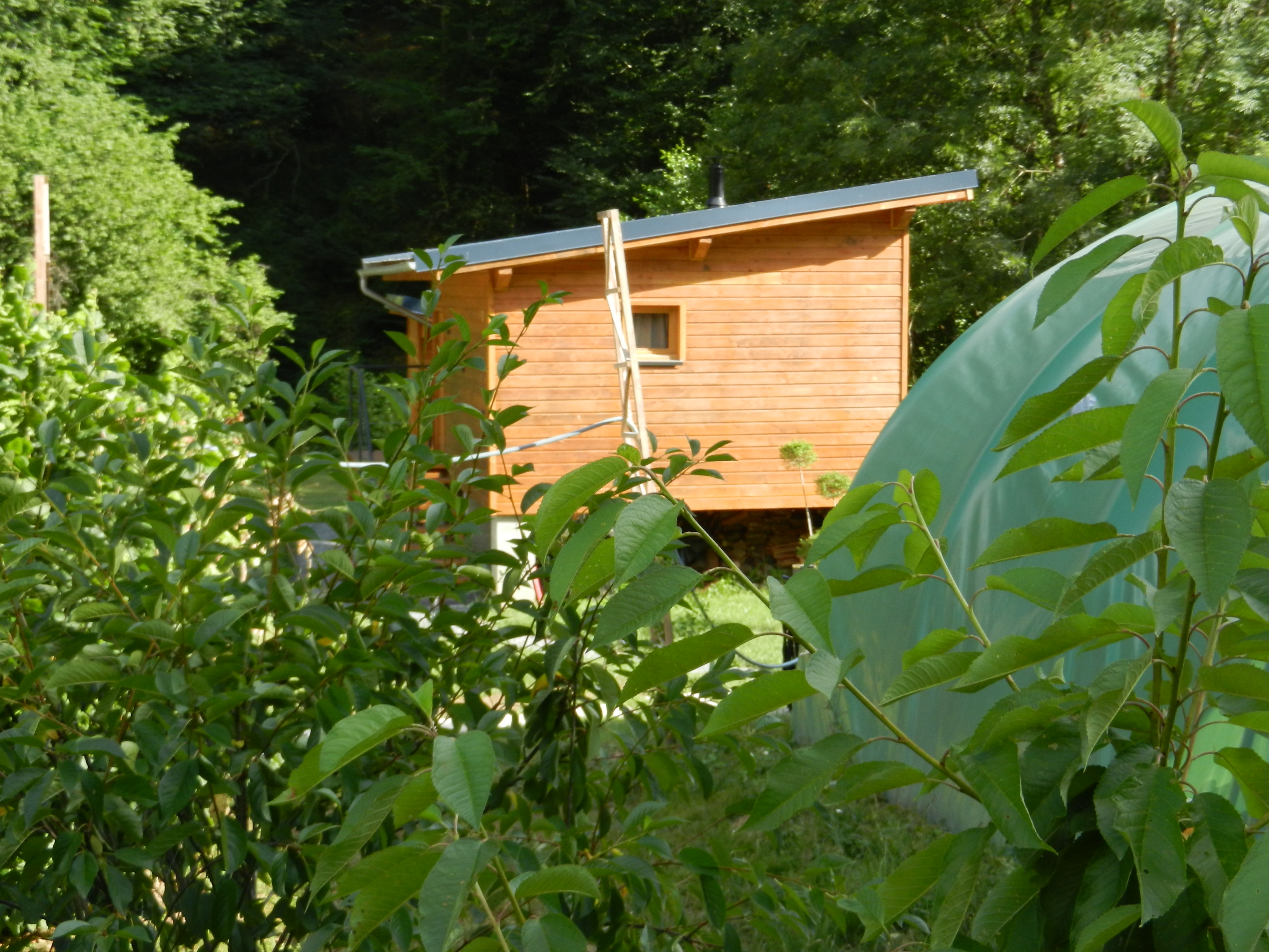 La cabane cocon du Gast — Cabane sur pilotis avec spa privatisable à Creuse à La Nouaille — environnement naturel