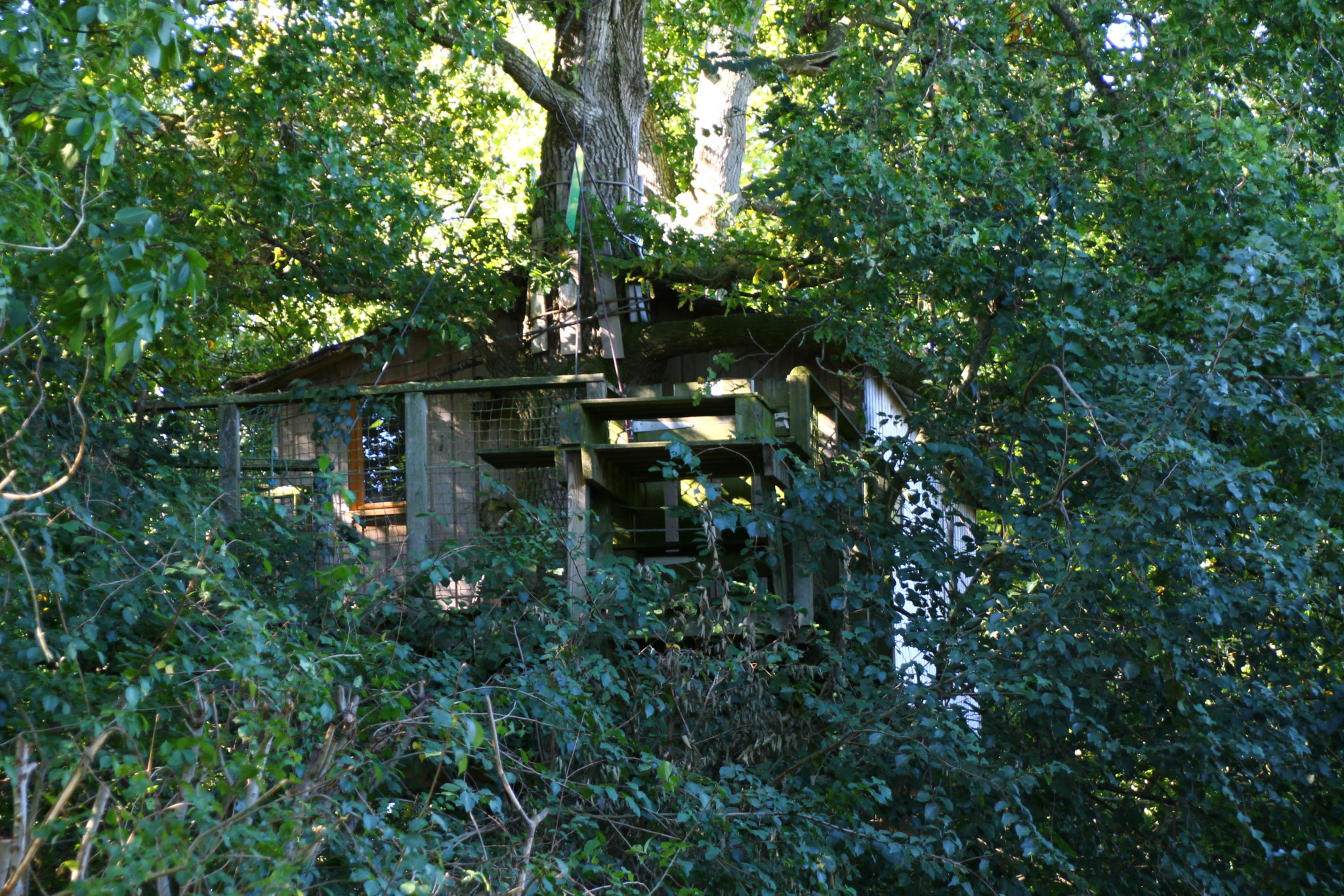 Une cabane perchée dans les arbres en Bretagne à Hénanbihen — vue intérieure