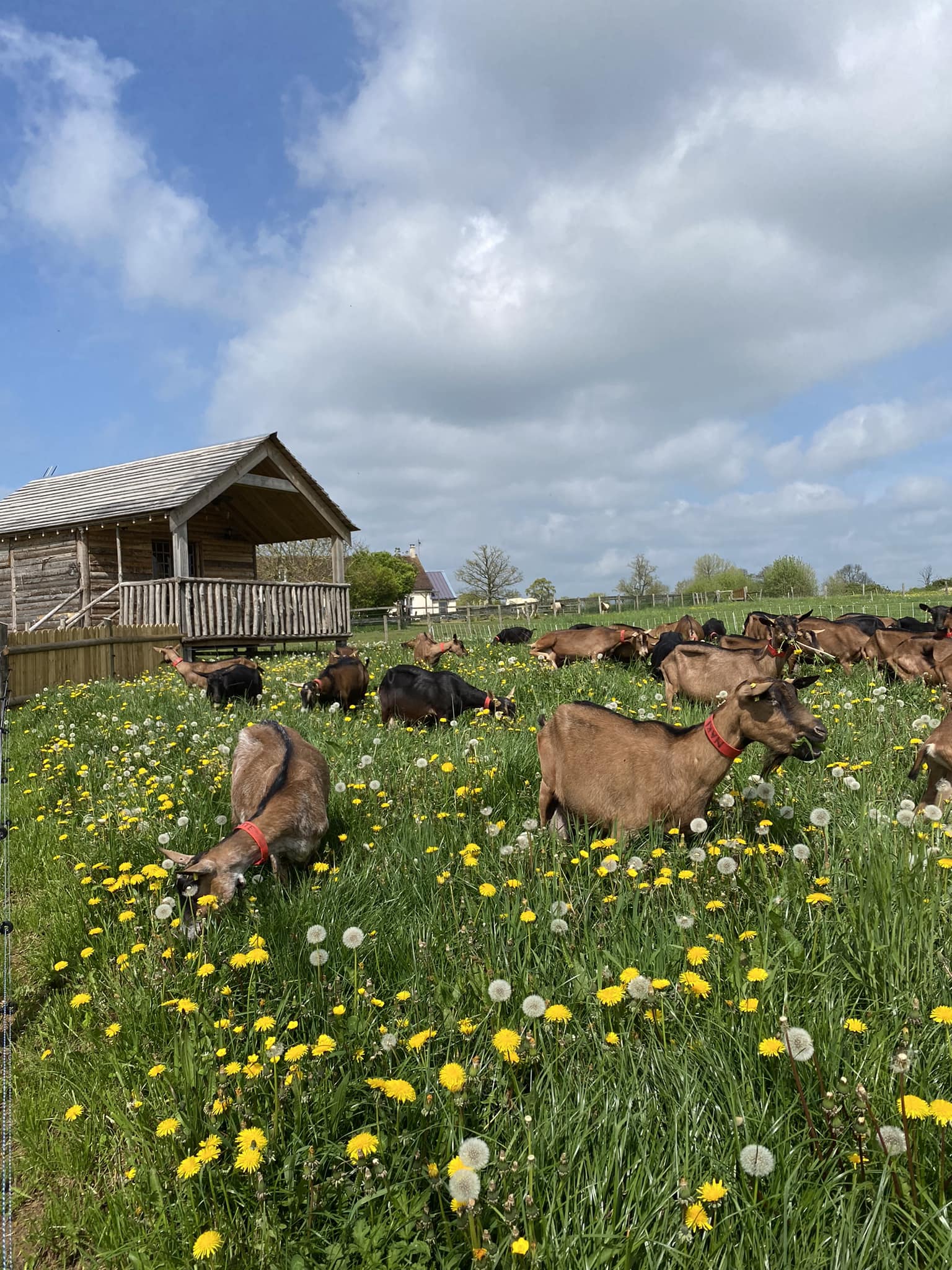La Cabane de Jabi — Cabane sur pilotis avec spa à Orne à Argentan — vue intérieure