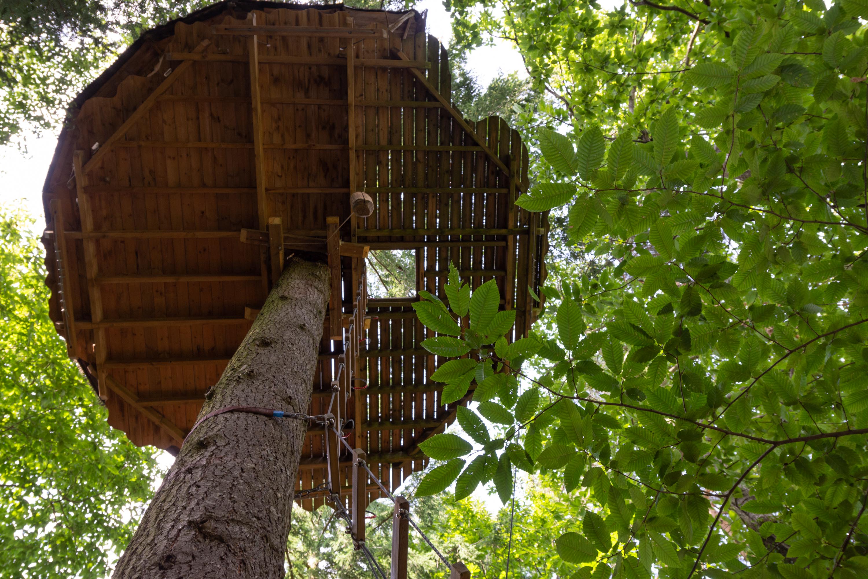 Cabane Ecureuil : une immersion dans les arbres en Rhône-Alpes à Saint-Julien-Labrousse — vue intérieure