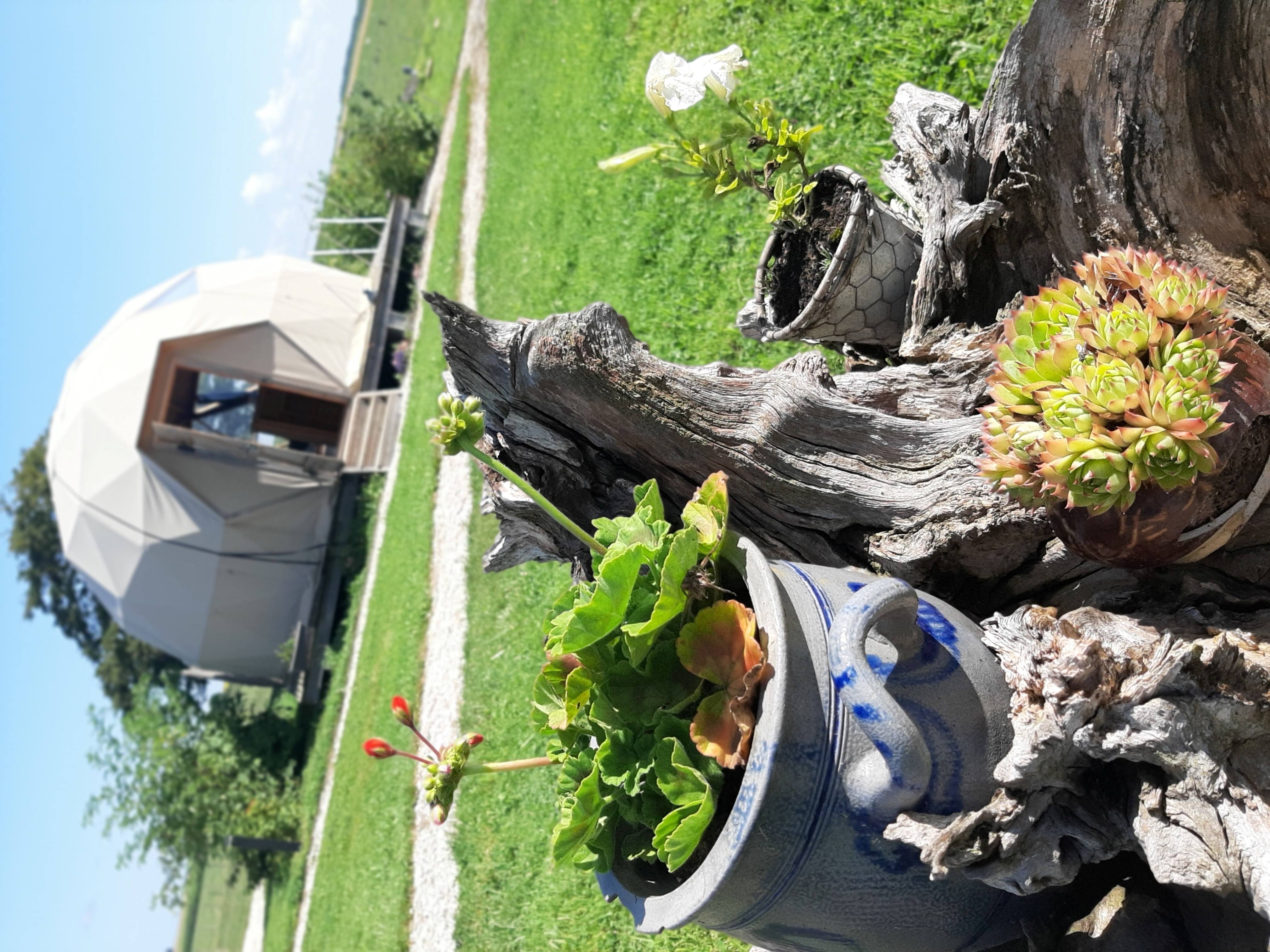 Dôme Céleste : une échappée insolite en Champagne-Ardenne