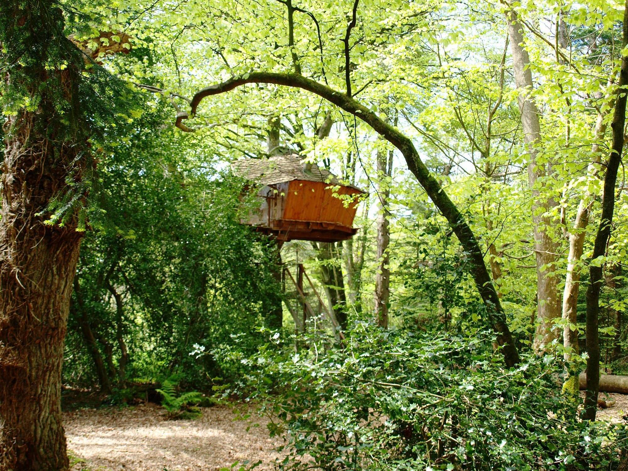 Cabane Jonquille : une évasion perchée en Bretagne à Cléder — vue intérieure