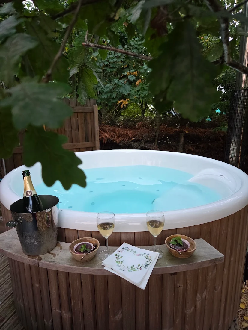 Évasion dans la cabane indonésienne avec grand bain nordique à Champfremont — vue intérieure