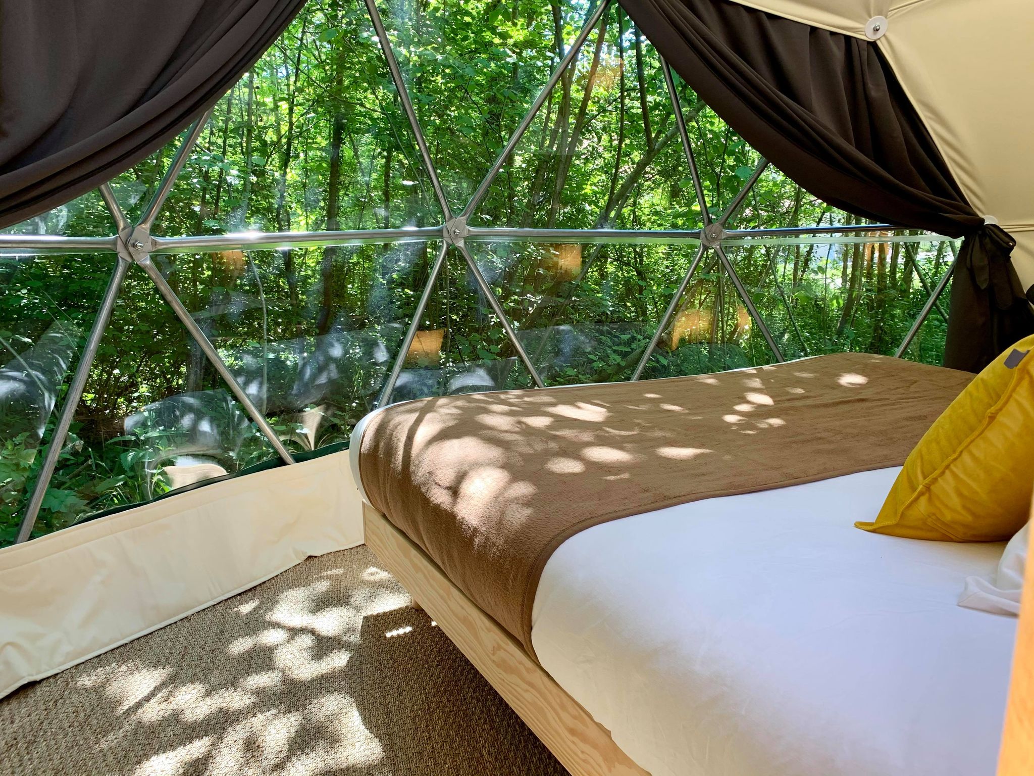 Géode Frêne Doré — Dôme avec spa à 180° sur la forêt en Gironde à Bruges — chambre