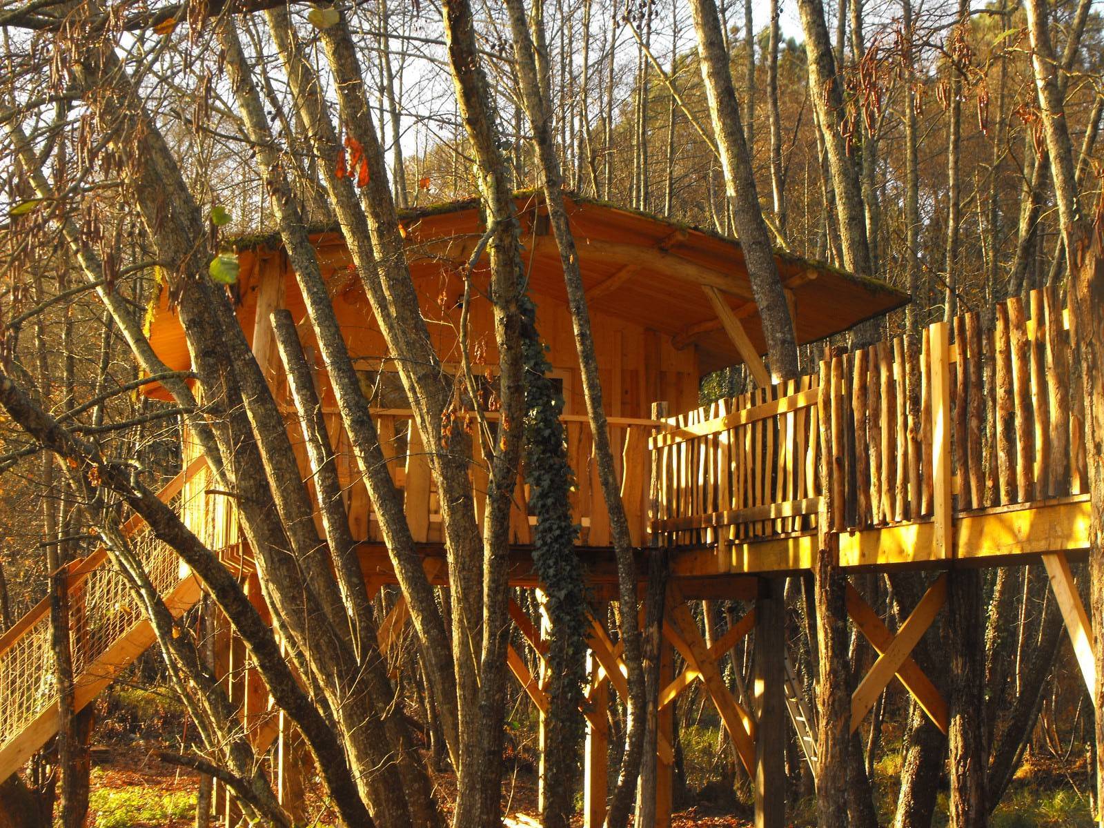 Cabane des Cerfs : une expérience suspendue en Aquitaine à Allons — environnement naturel