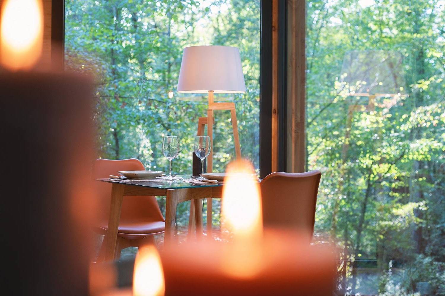 Suite Arty + « Lost Lodge » — Cabane dans les arbres avec spa à Indre-et-Loire à Tours — vue depuis la terrasse