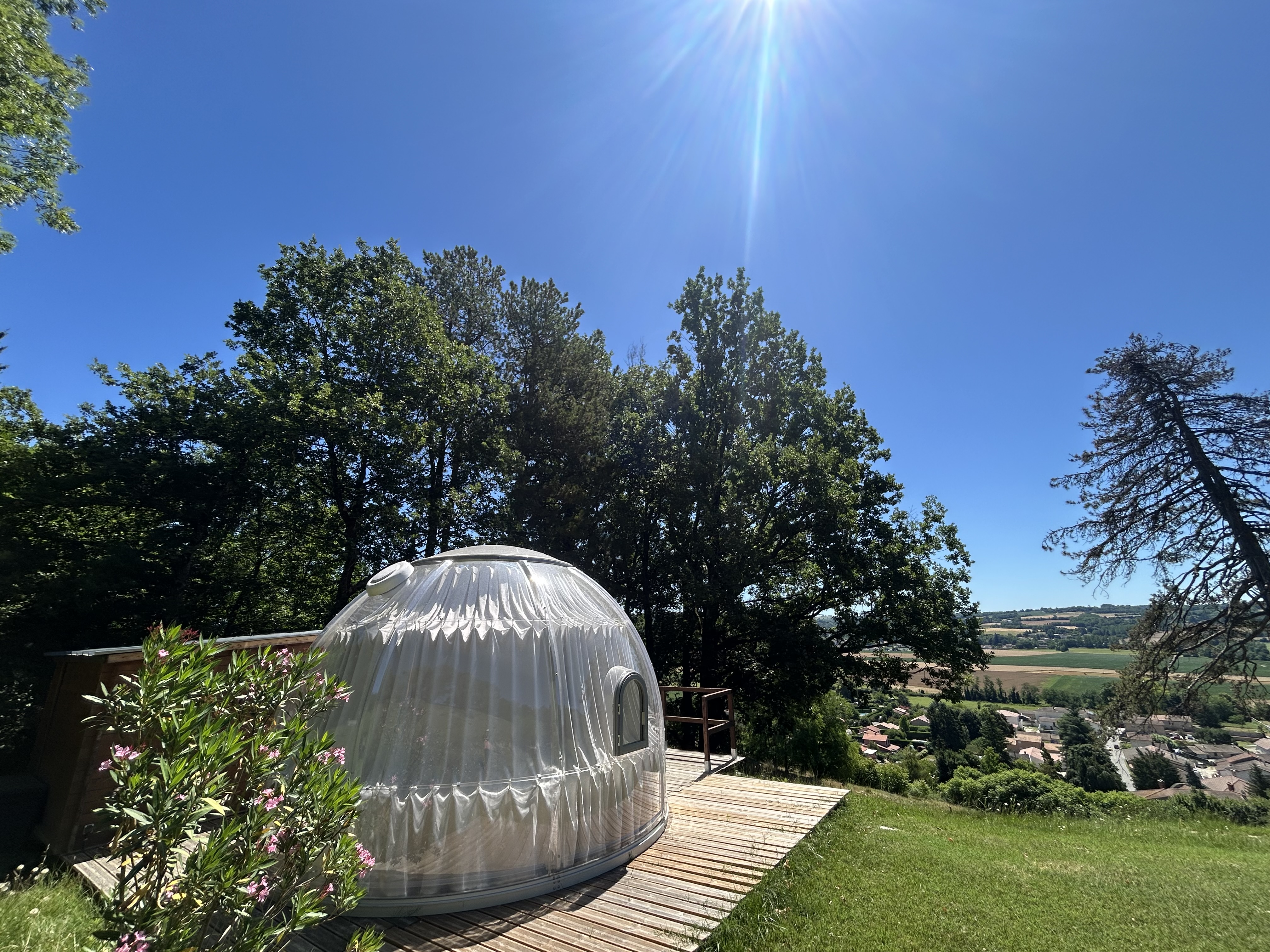 Bulle DODO LODGE - 2