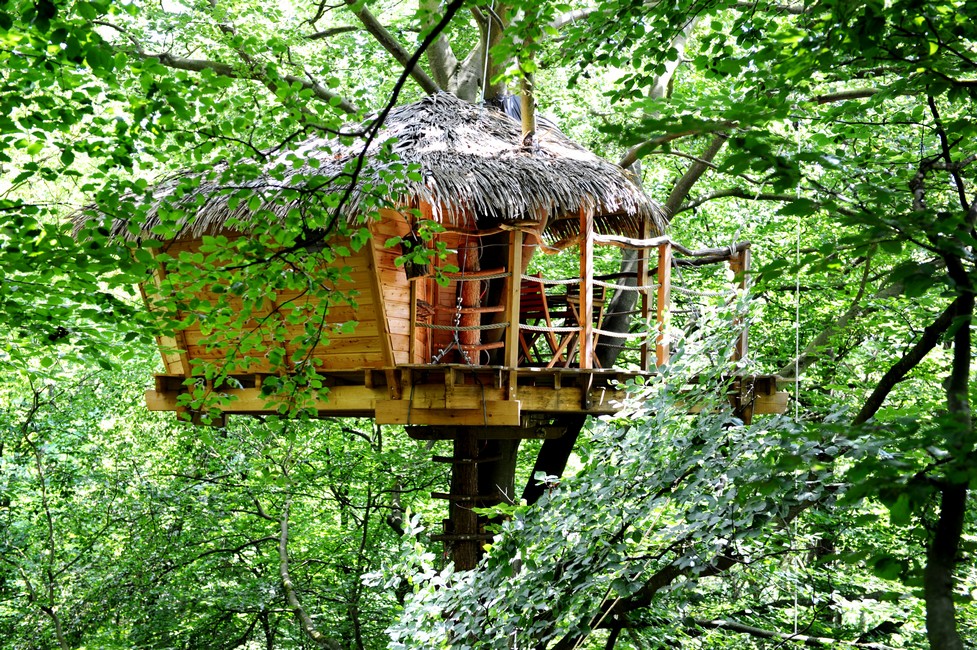 Berceau : une cabane dans les arbres pour une escapade enchantée à St Germain Des Essourts — vue intérieure