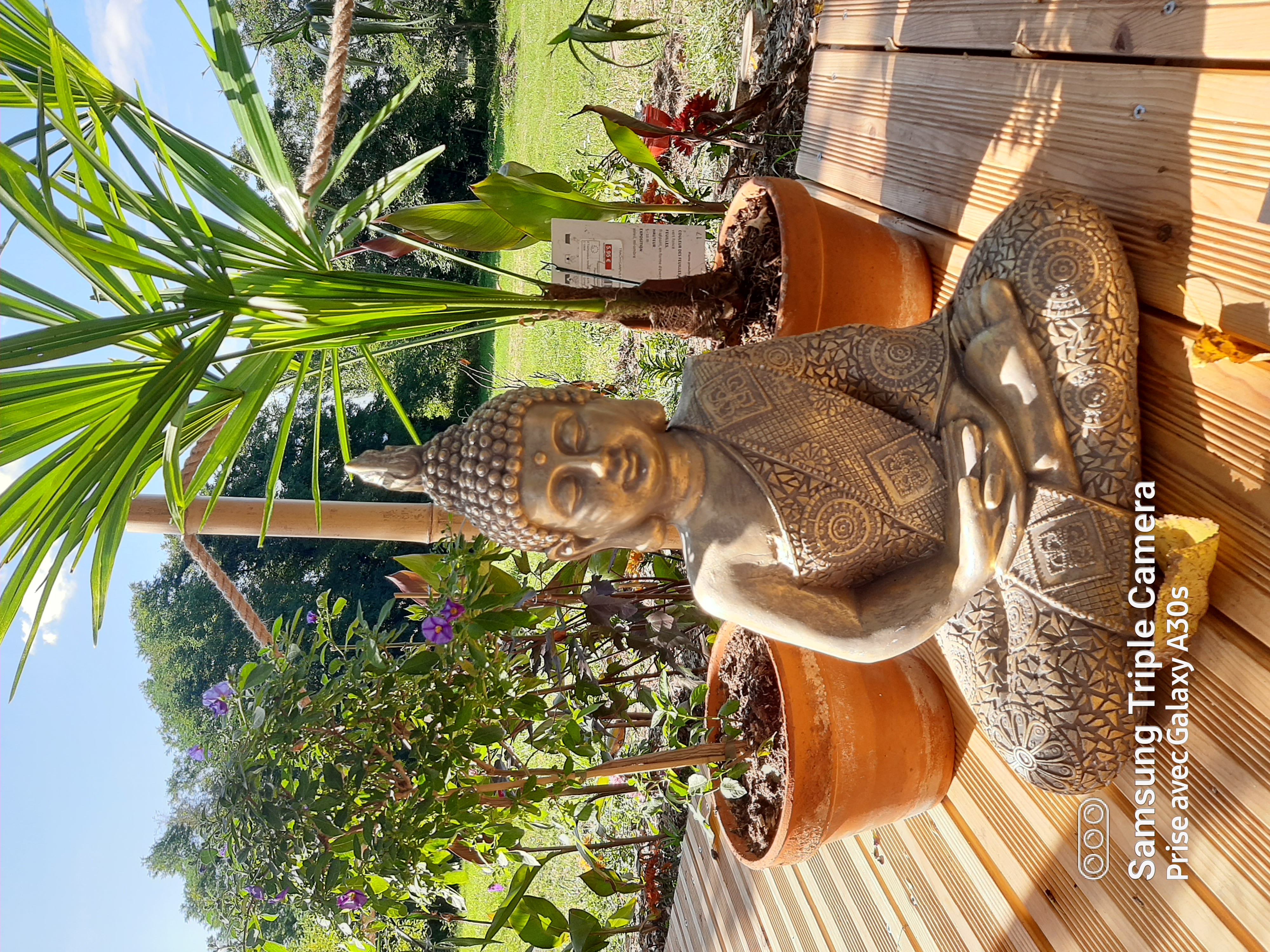 Bulle Mystique - L'Arche Enchantée