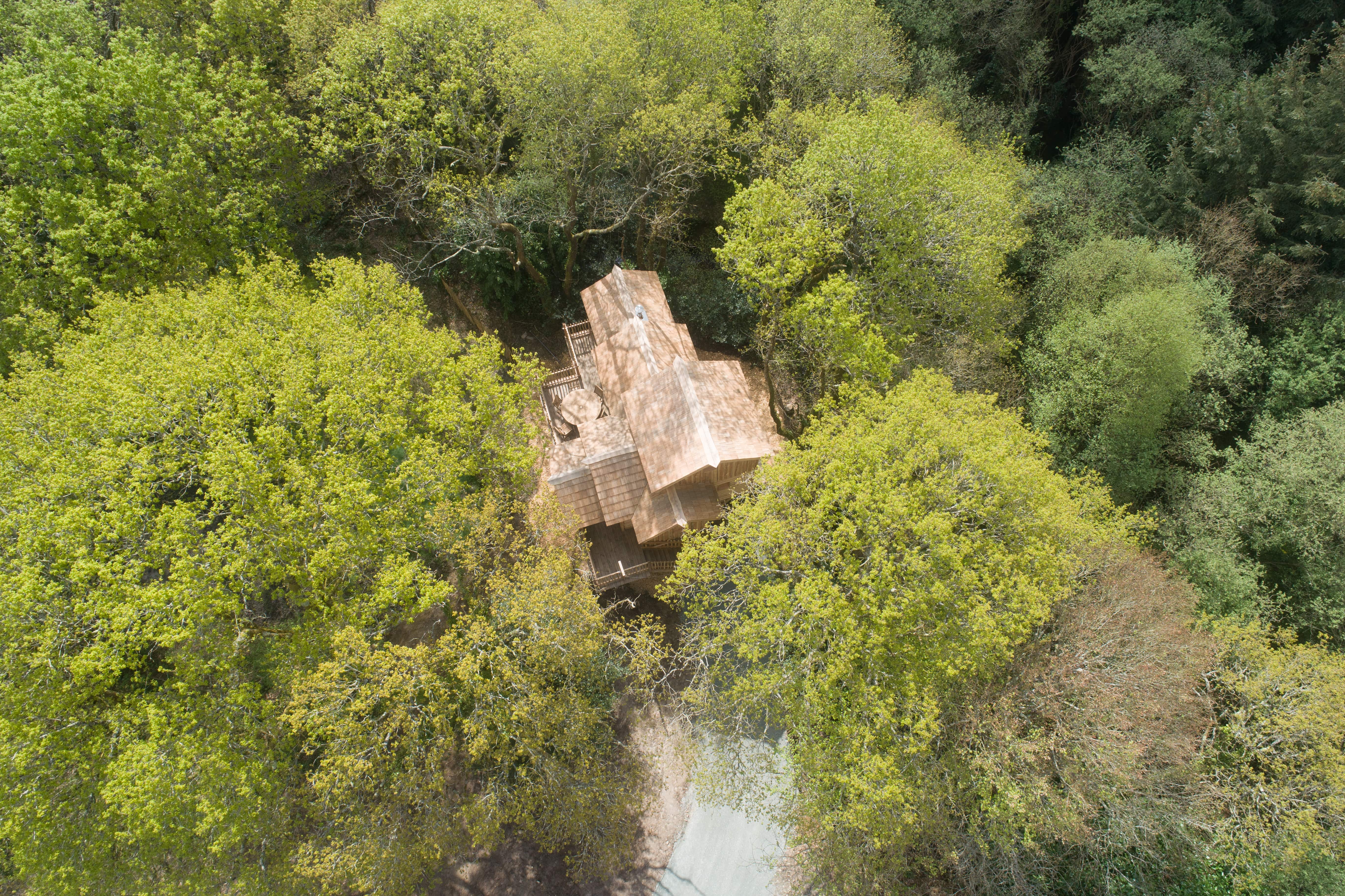 Cabane Spa Nessie : une évasion sur pilotis en Bretagne