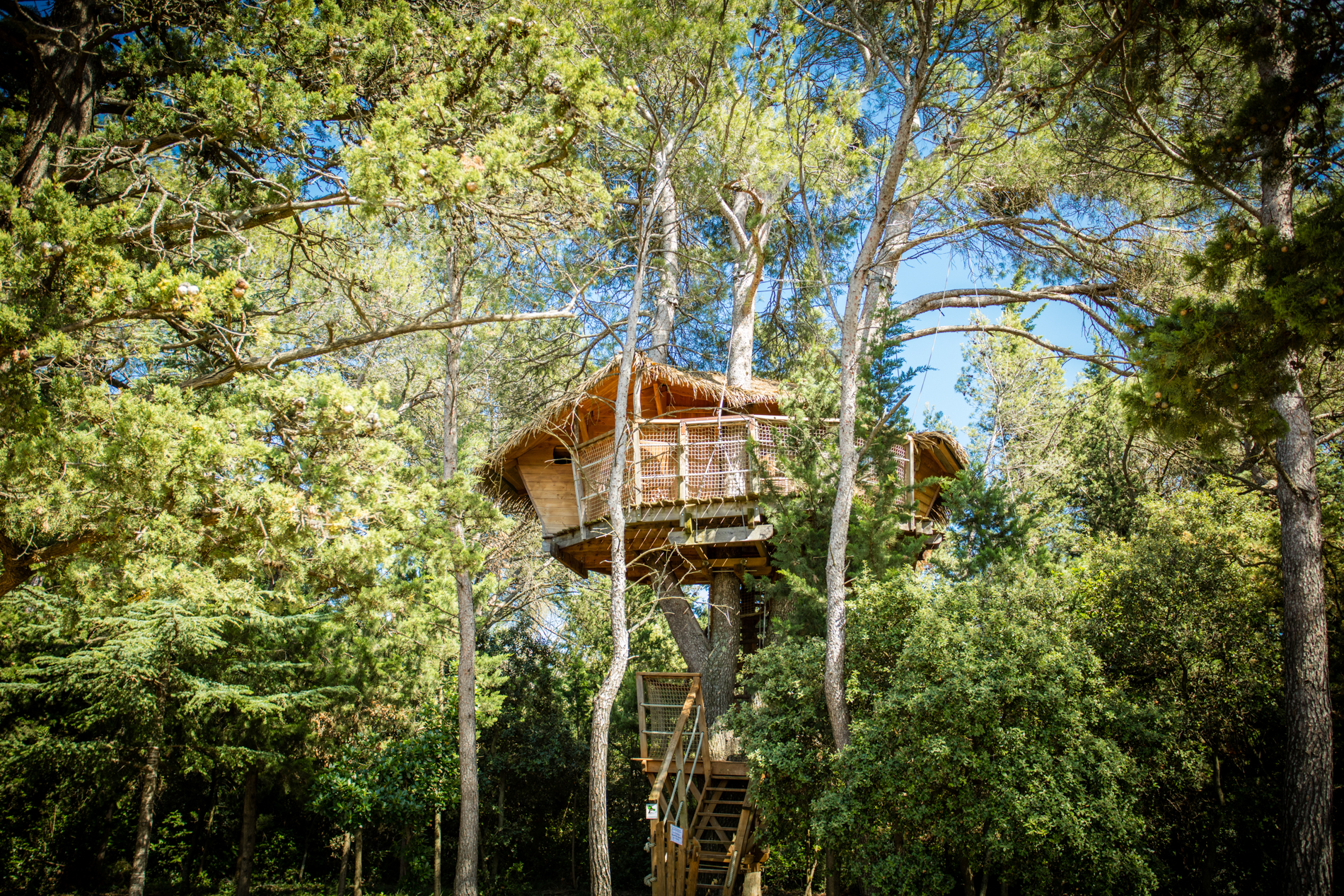 Évasion en cabane : Tourterelle, un refuge dans les arbres — Cabane à Castries