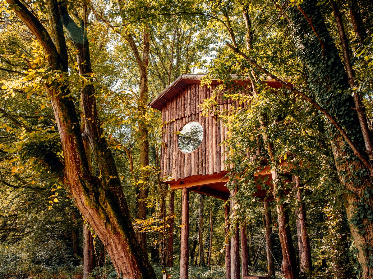 Cabane Spa Septième Ciel : une évasion sur pilotis en Picardie à St-Léger-Aux-Bois — chambre