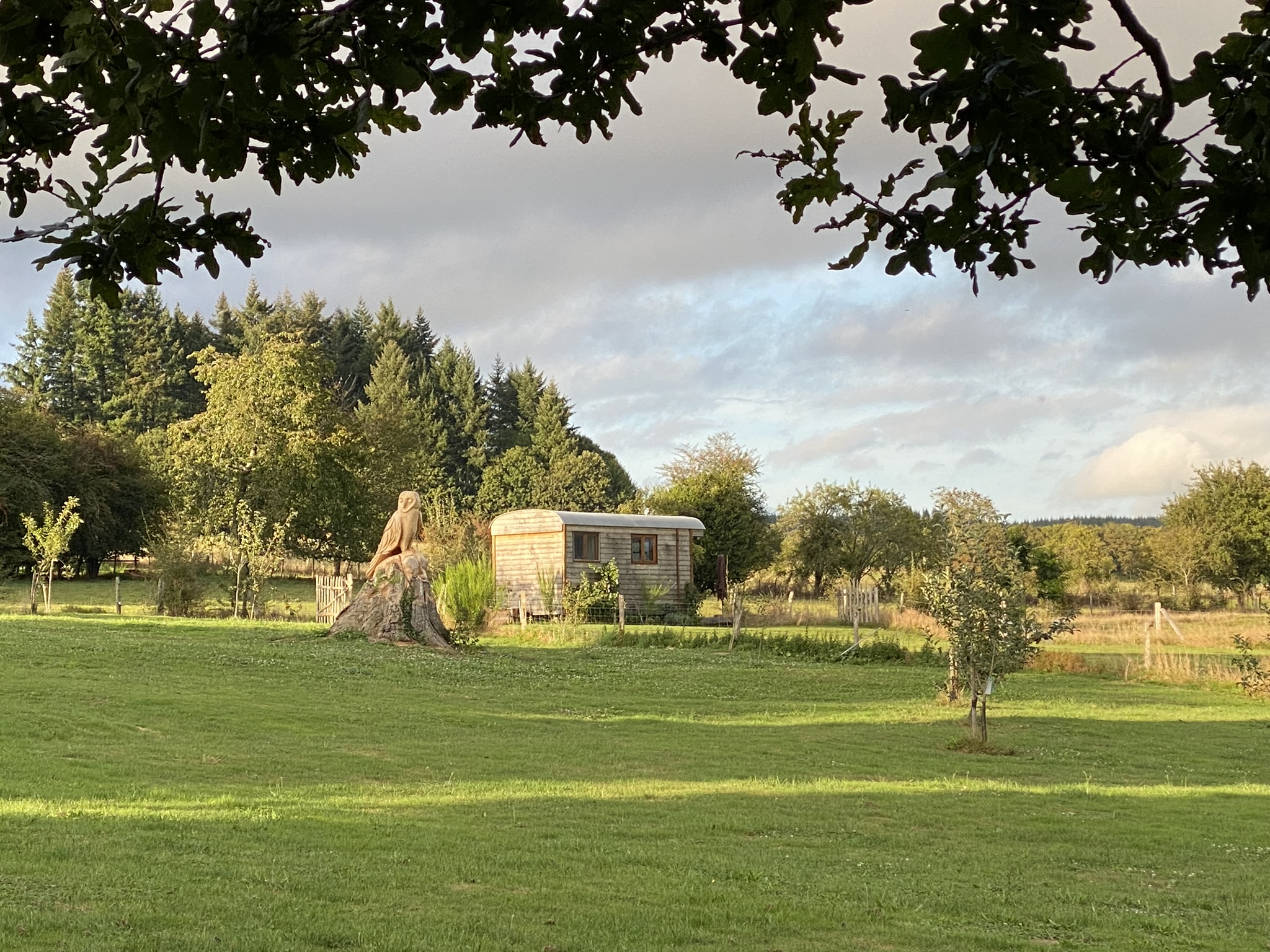 Roulotte 360°nature : une immersion au cœur du Limousin à Champnétery — vue intérieure