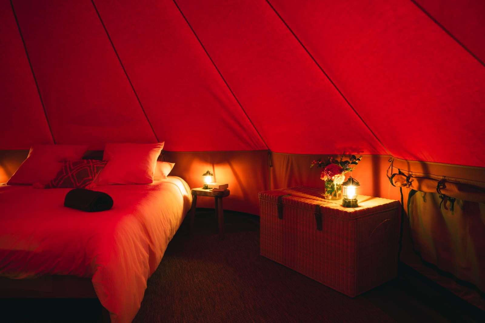 Évasion sous les étoiles : Tente lodge aux Toiles du Cassis à Plassac-Rouffiac — environnement naturel