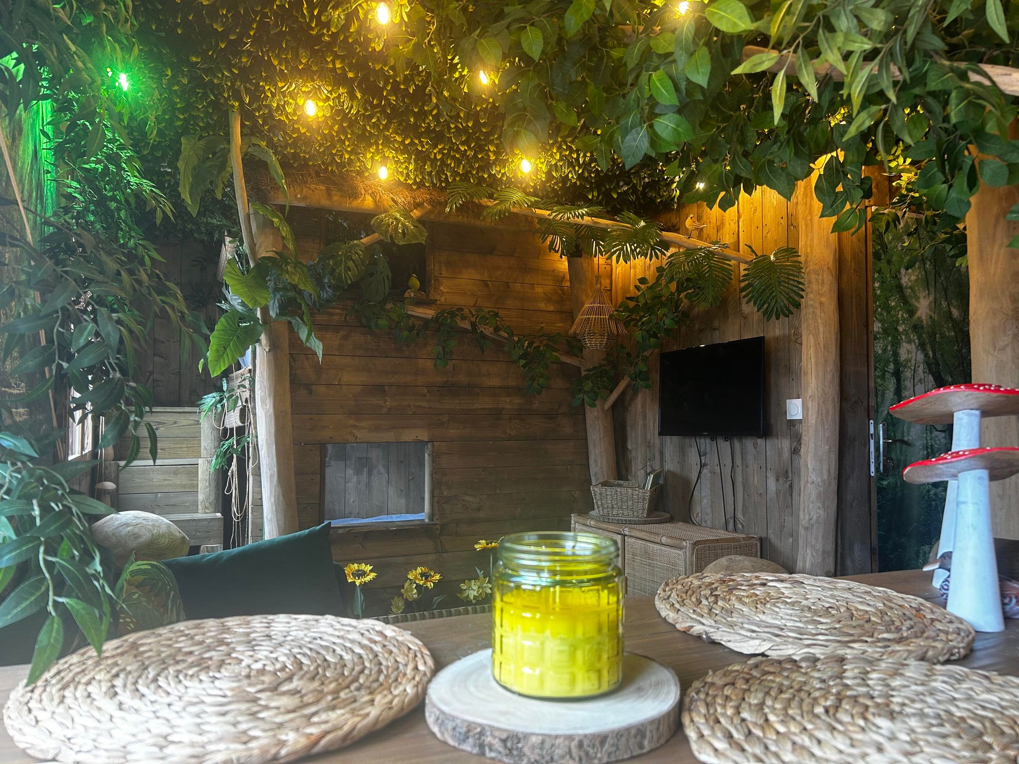 La Jungle Room de Paulette — Chambre à thème avec spa à Pau à Pau — vue depuis la terrasse