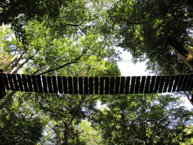 Cabane aux fées : une escapade enchantée dans les arbres à Giffaumont — espace de vie