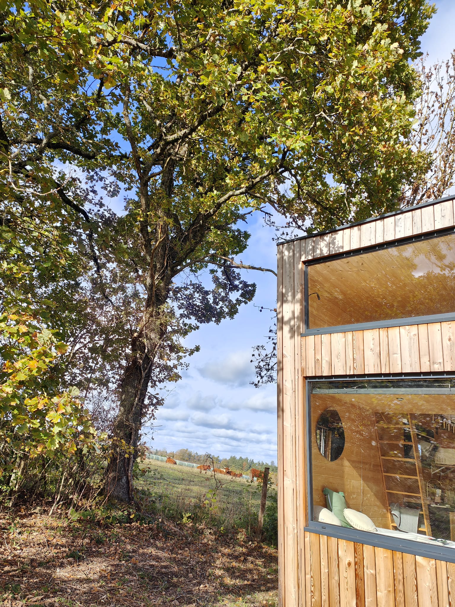 Moose Tiny House : une escapade insolite en Auvergne à Saint Jacques D'ambur — détail architectural