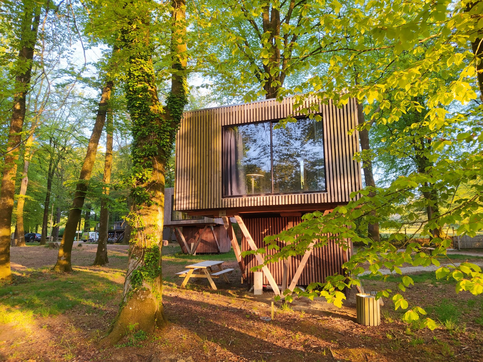 Évasion en cabane sur pilotis en Basse-Normandie