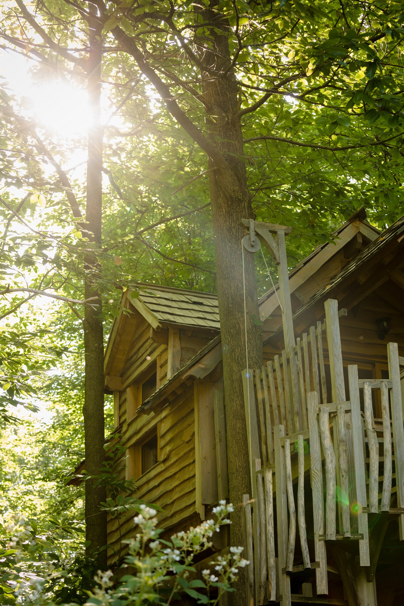 Cabane Spa Étoilée : une expérience unique dans les arbres à Raray — espace de vie