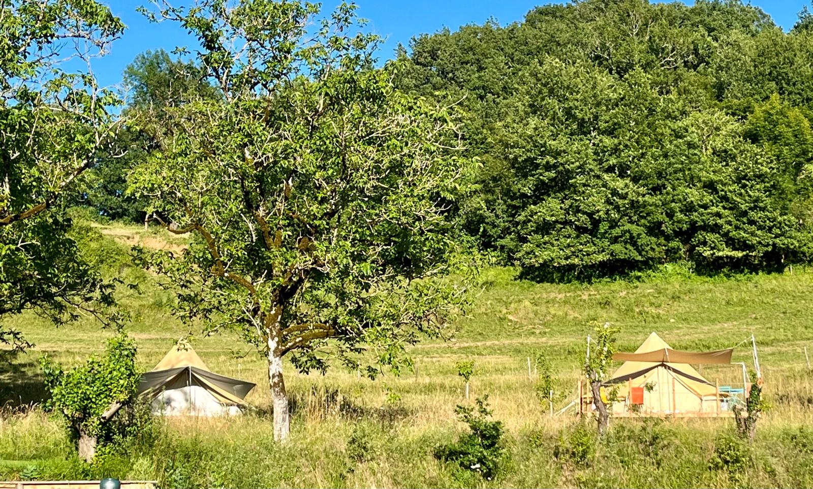 Tente Noix : une expérience immersive en pleine nature à Astaillac — cuisine