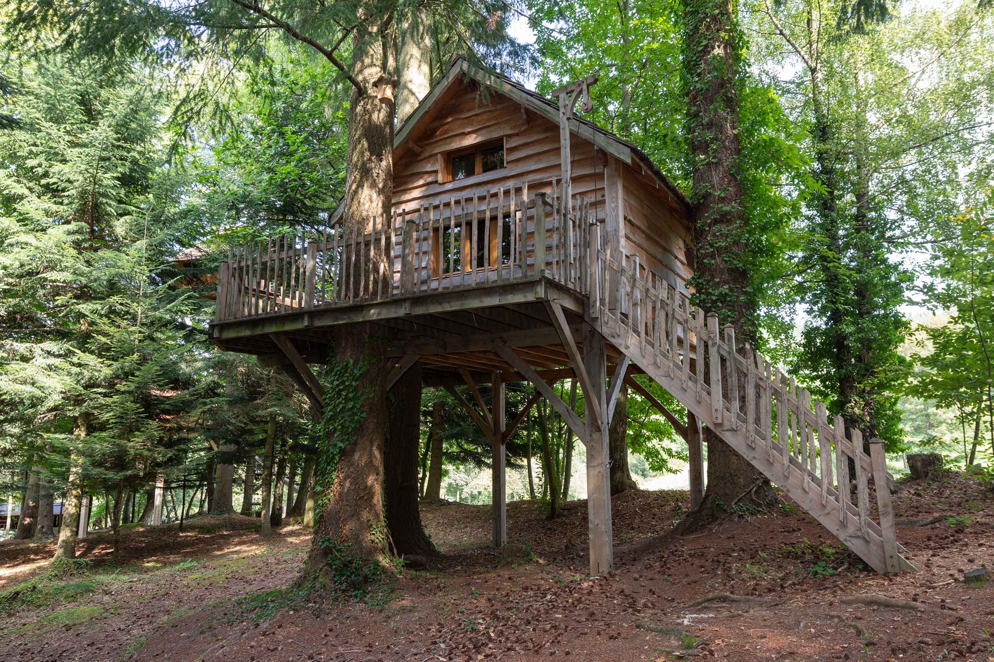 Cabane Panda : une expérience suspendue dans les arbres à Saint-Julien-Labrousse — salle de bain