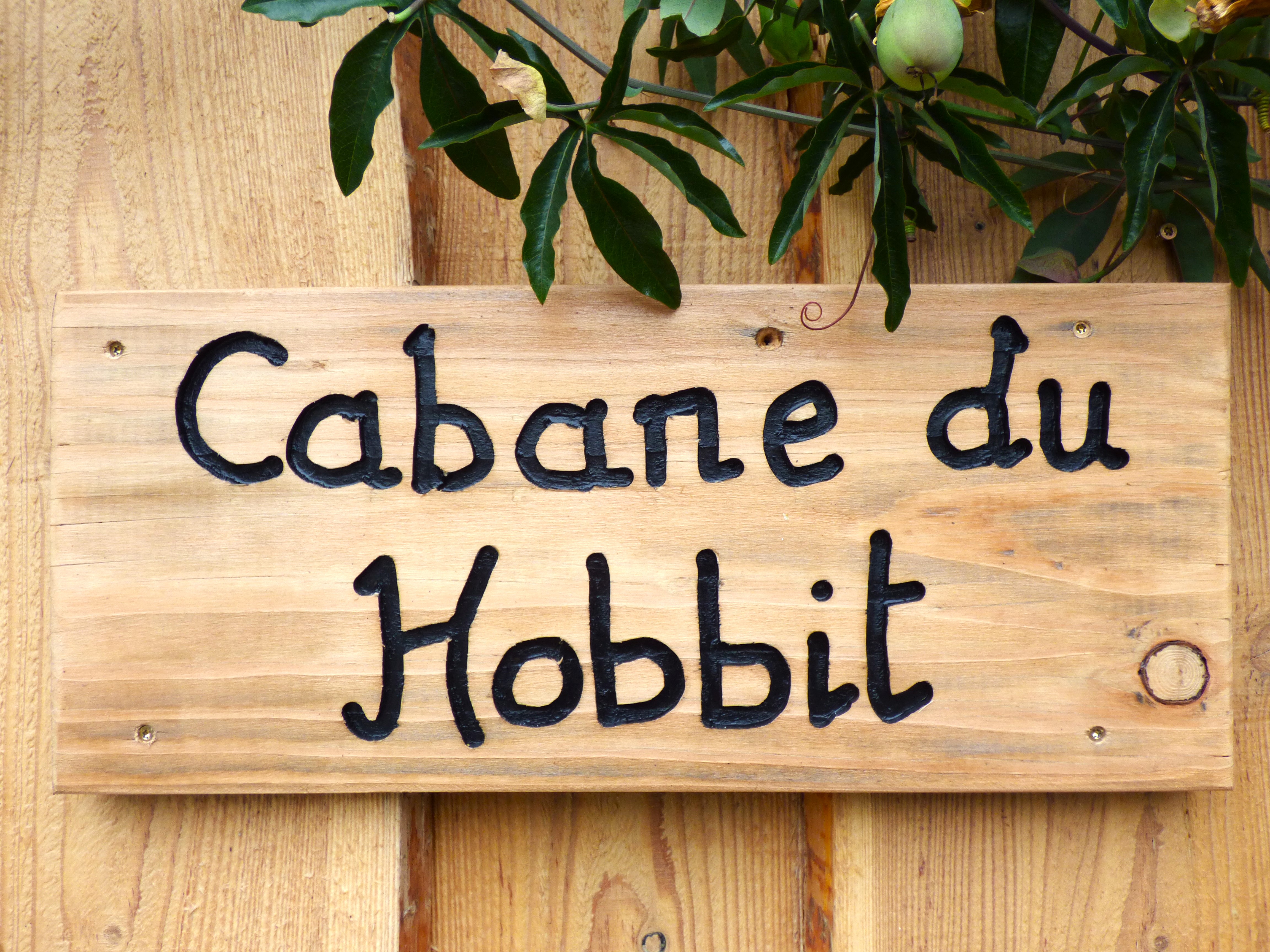 Cabane du Hobbit : une expérience immersive au bord du lac à Condat-En-Combraille — détail architectural