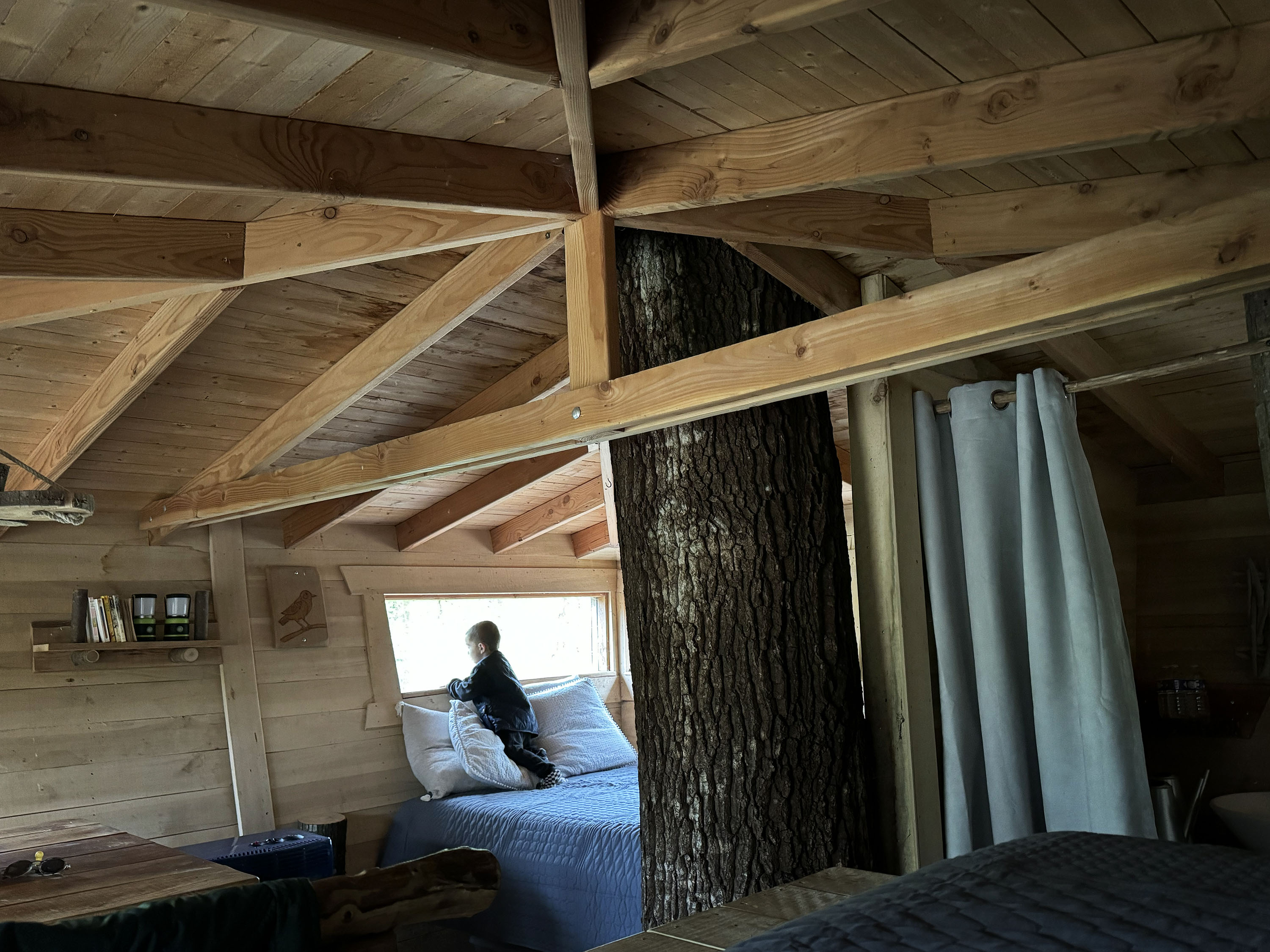 Cabane Mésange — Cabane sur pilotis à 8m en Mayenne à L'Orbière — détail architectural
