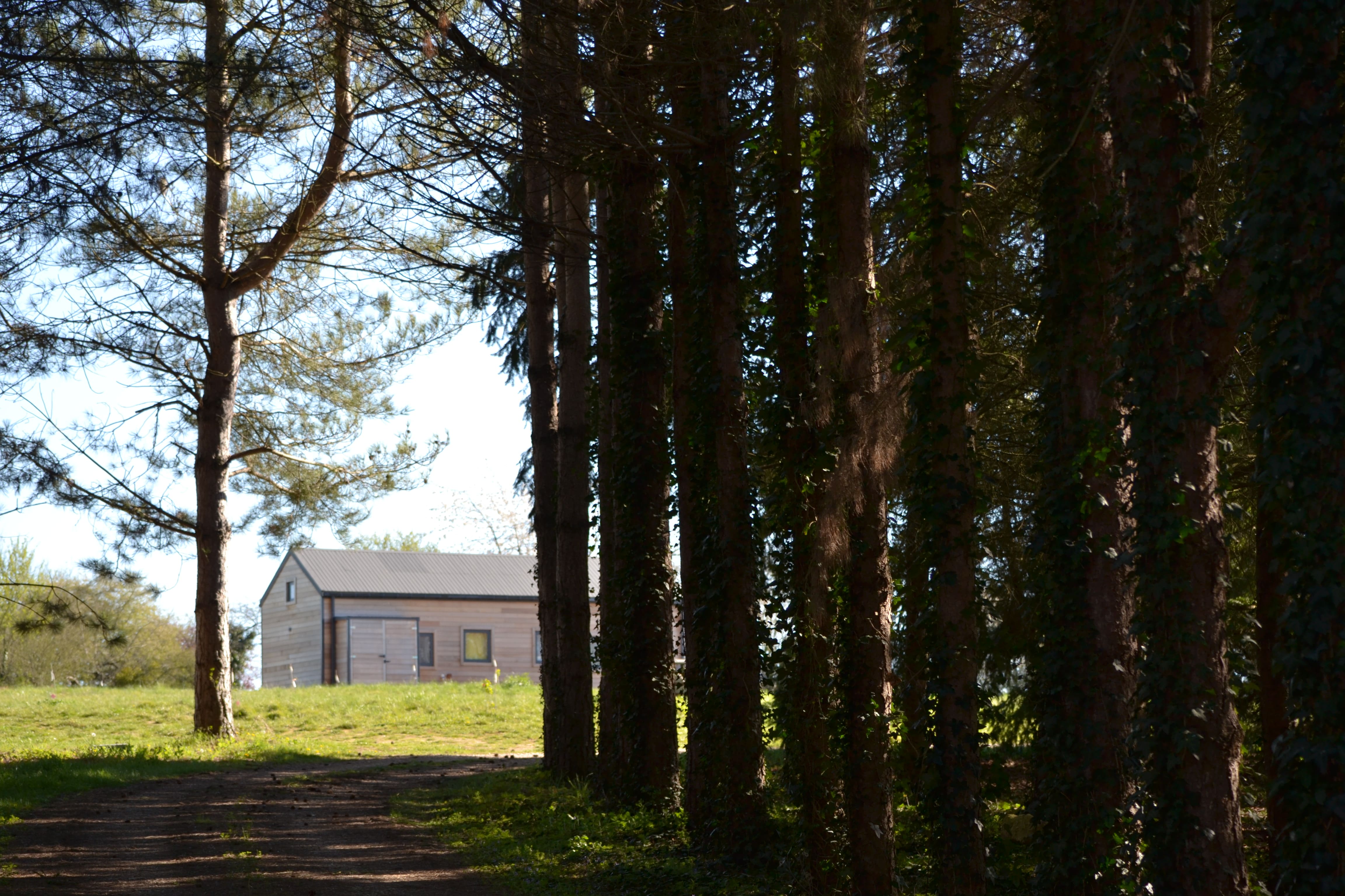 Cabane de l'Ecureuil — Écolodge avec bain nordique à Loir-et-Cher à La Ferté-Imbault — chambre