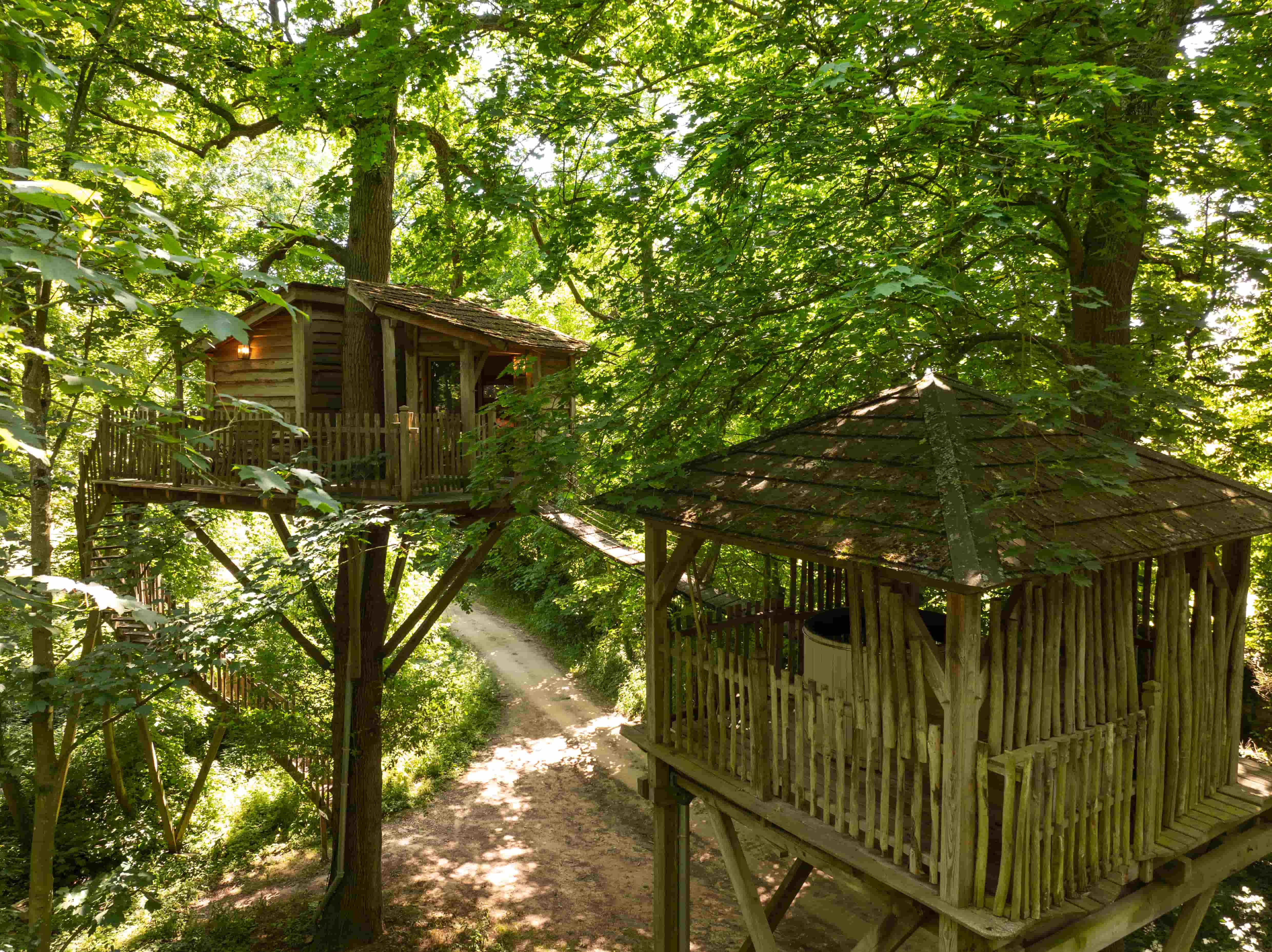 Cabane Spa Cocon : une évasion dans les arbres en Picardie
