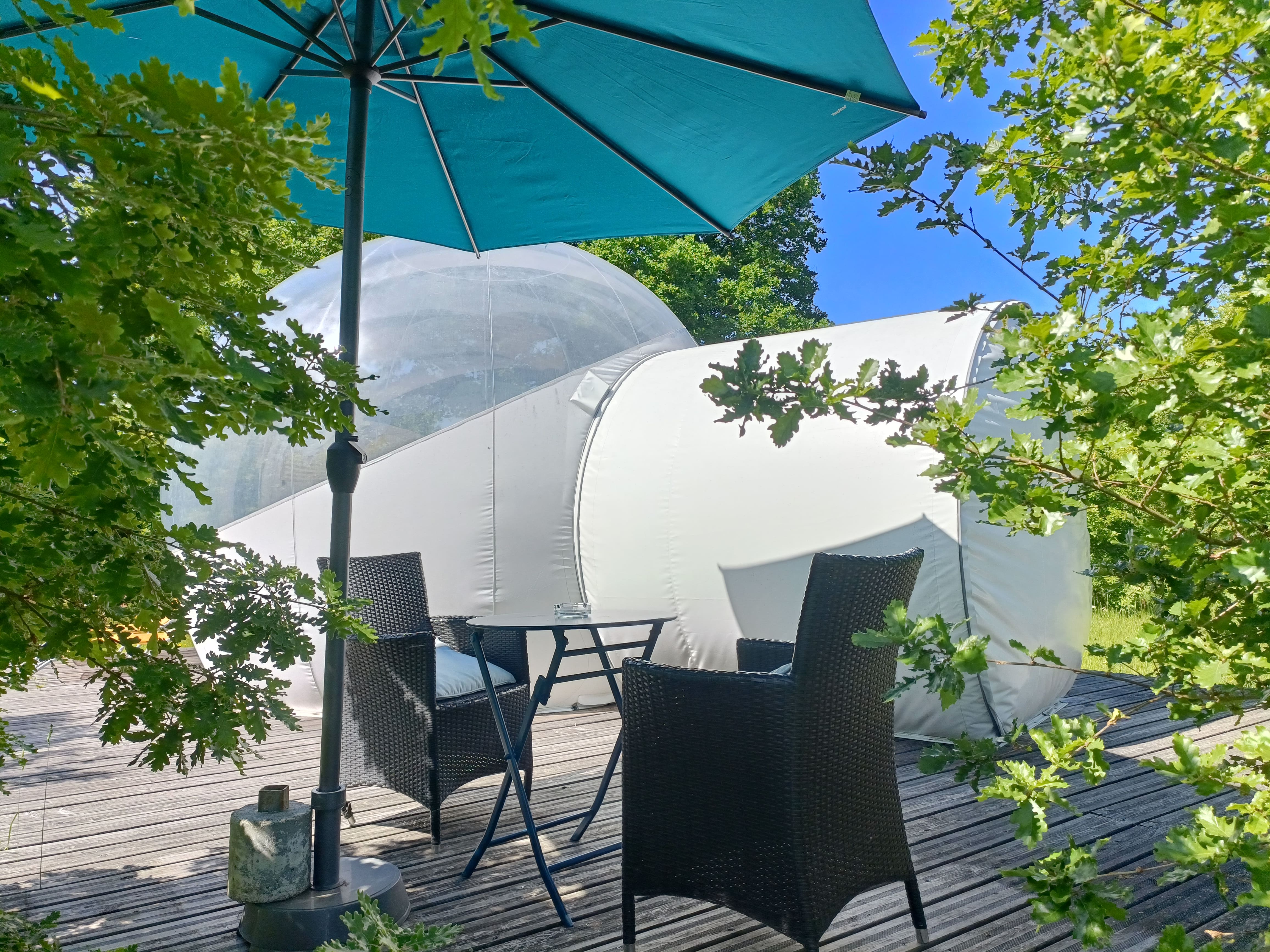 Reine des Prés - Pré en Bulles