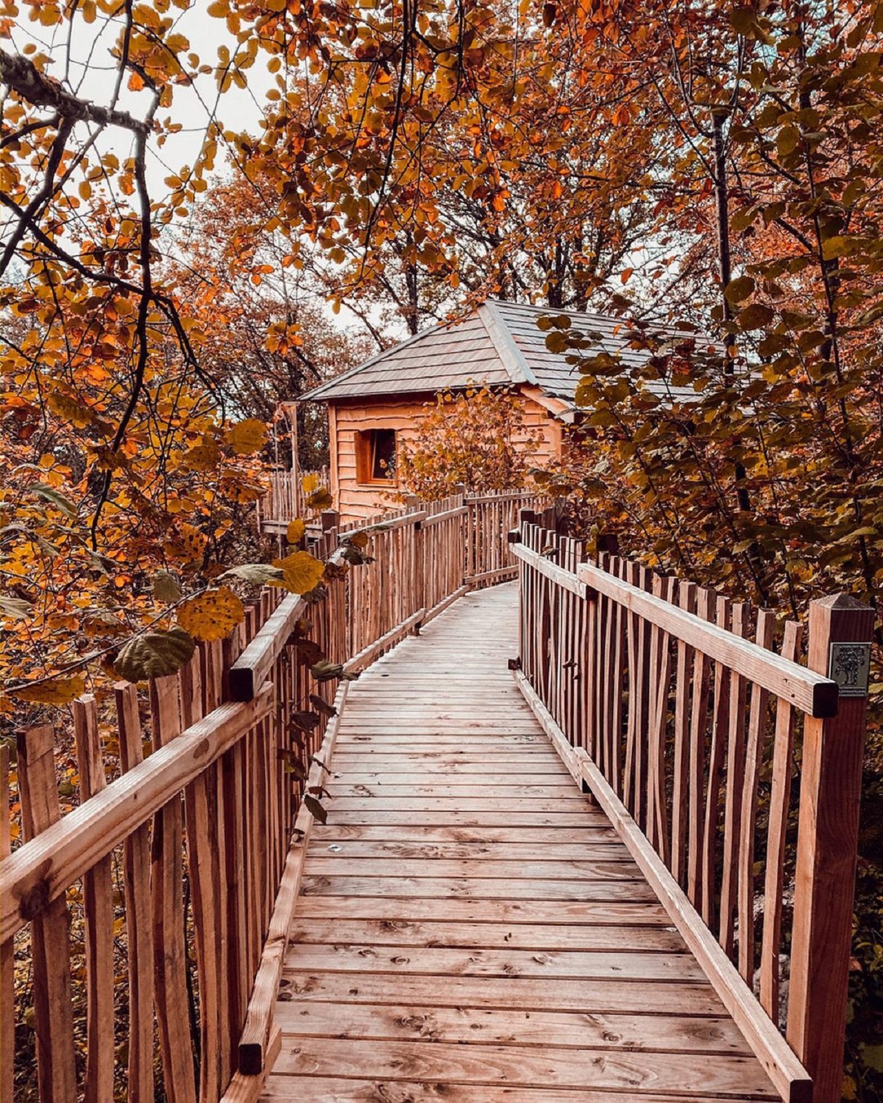 Cabane Spa Écureuil : une évasion dans les arbres en Franche-Comté à Bonlieu — chambre