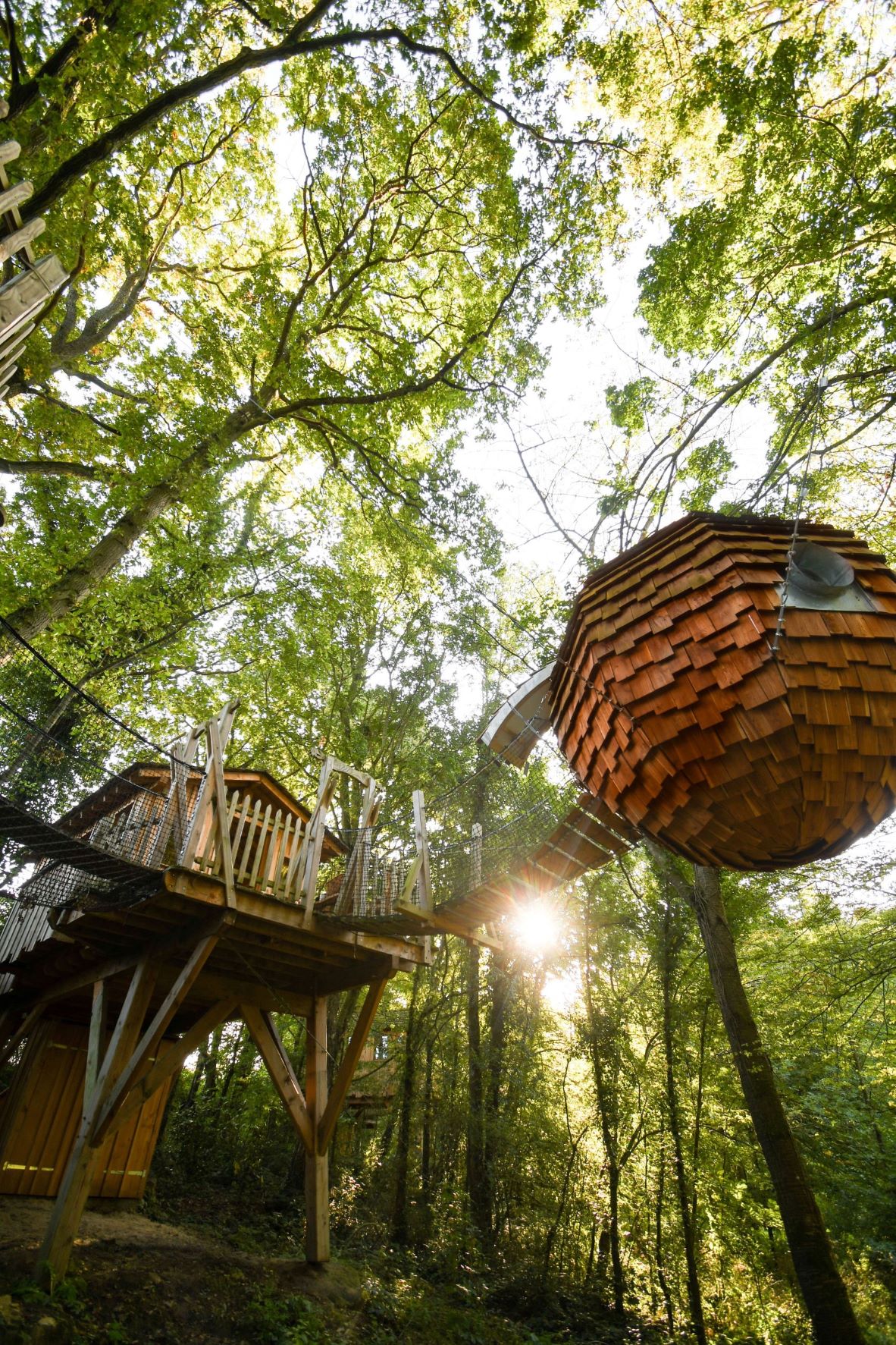 Cabane Spa Cocoon d'Amour : une évasion romantique en Picardie à Rosoy-En-Multien — environnement naturel