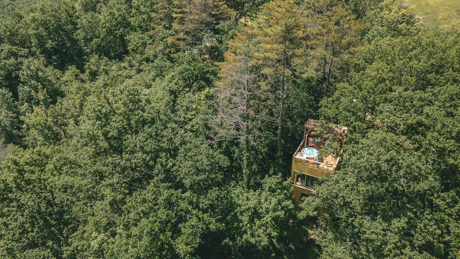 La Palombière 2 : une cabane sur pilotis avec spa en Aquitaine