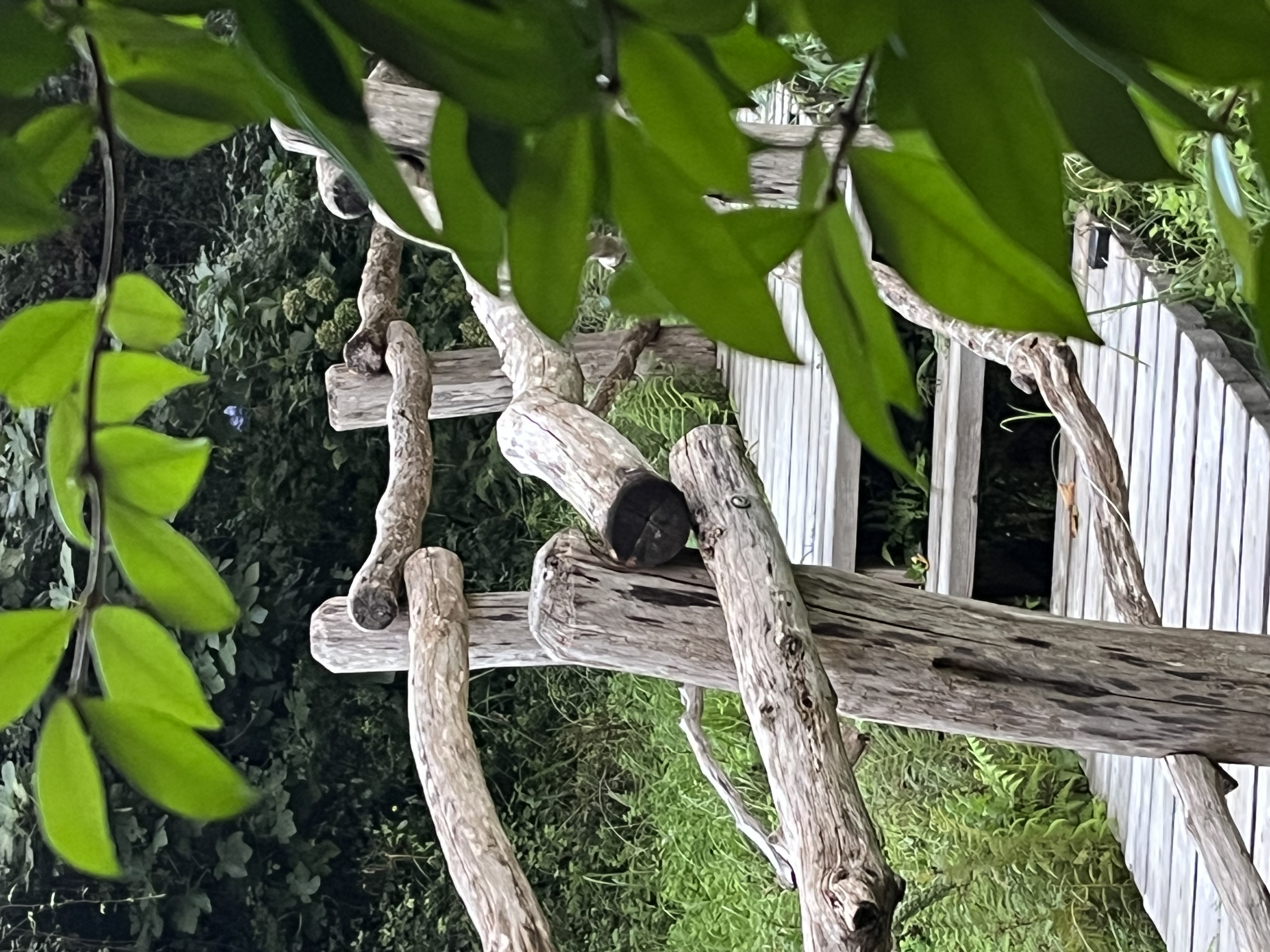 Cabane Le Cœur de Xanet : une échappée belle sur pilotis à Bassussarry — vue depuis la terrasse