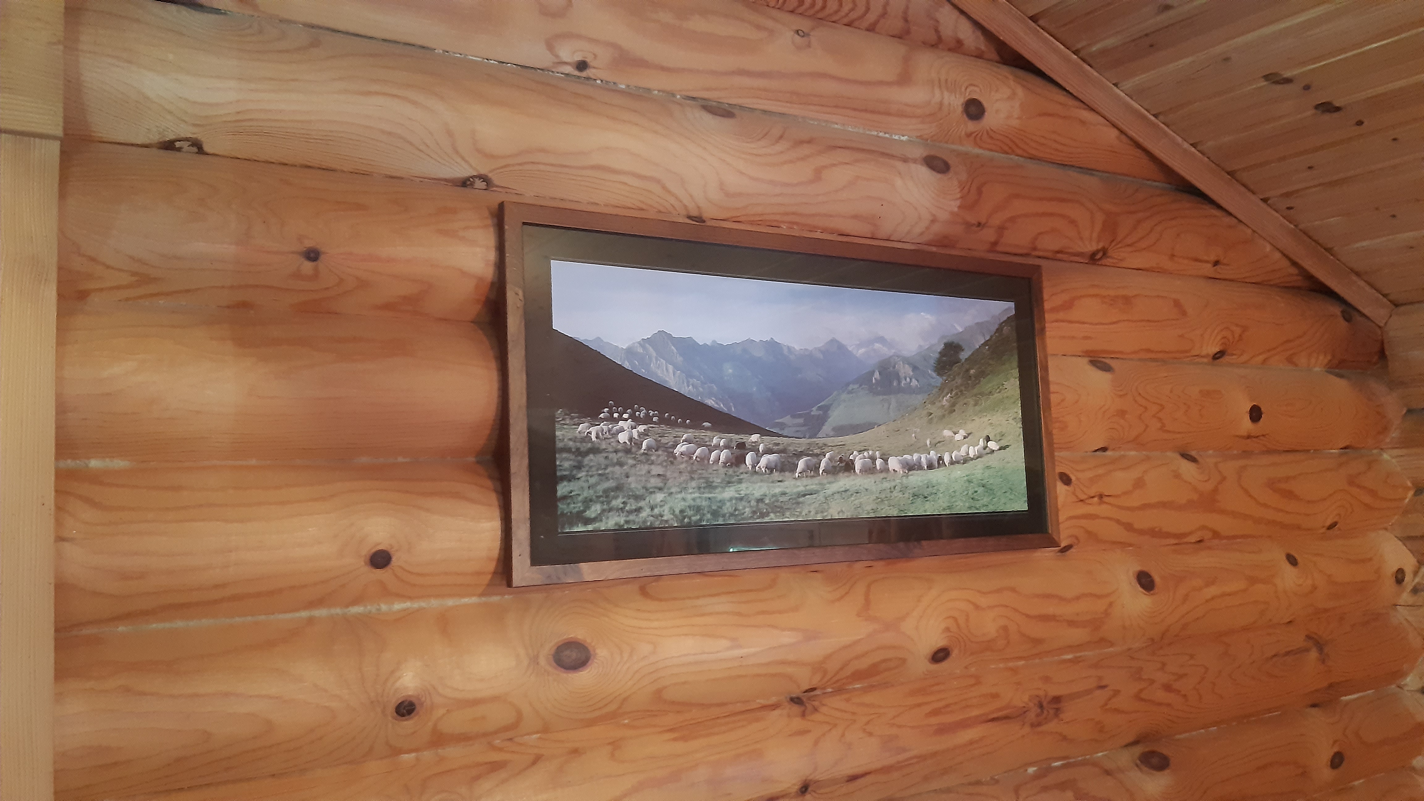 Chalet du Berger : un refuge enchanteur au cœur des Midi-Pyrénées à Agos-Vidalos — cuisine