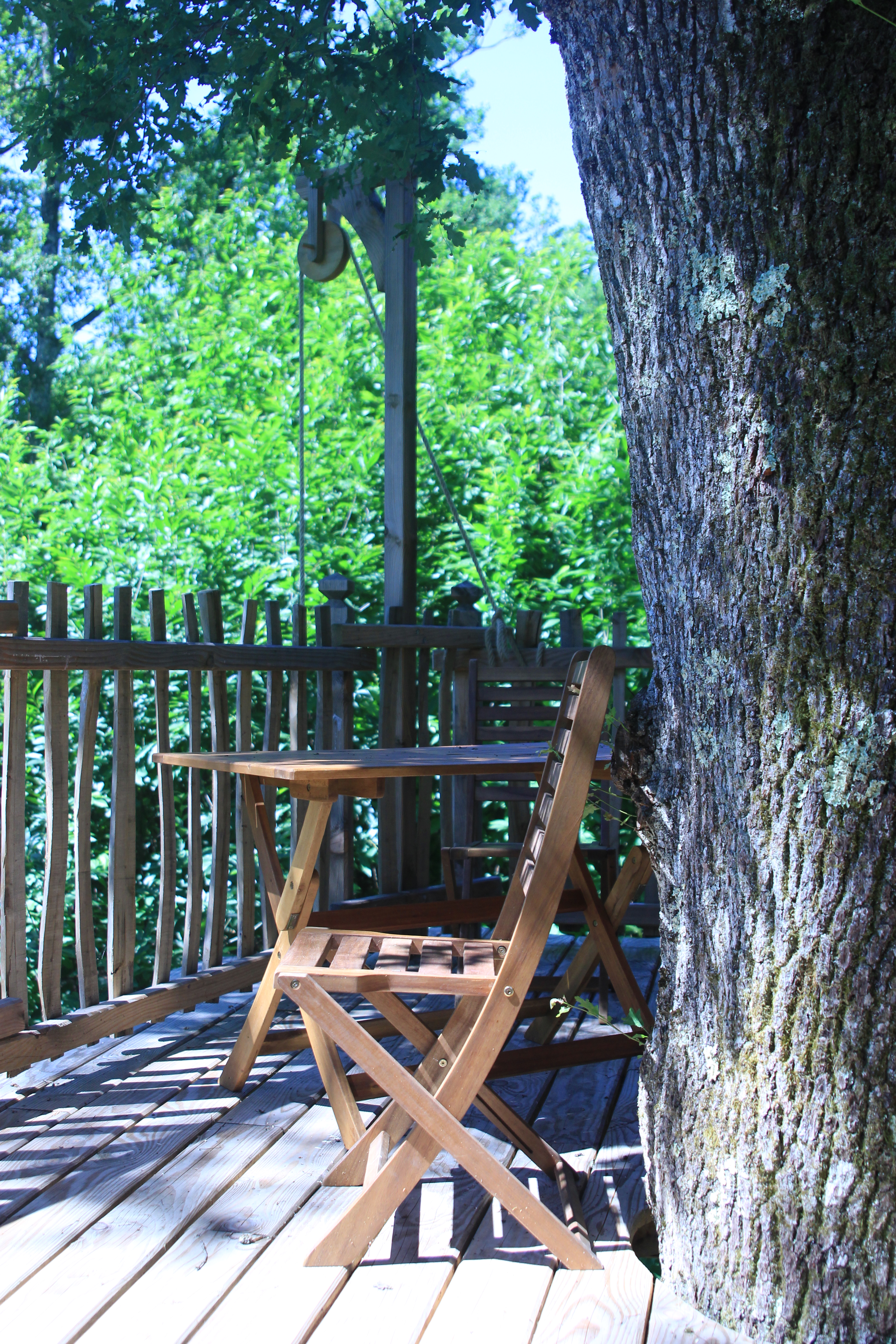 Photo 3/9 — Cabane dans les arbres « Cabane Ecureuil — Nuit perchée à 8m dans les arbres en Dordogne » à Alles-sur-Dordogne…