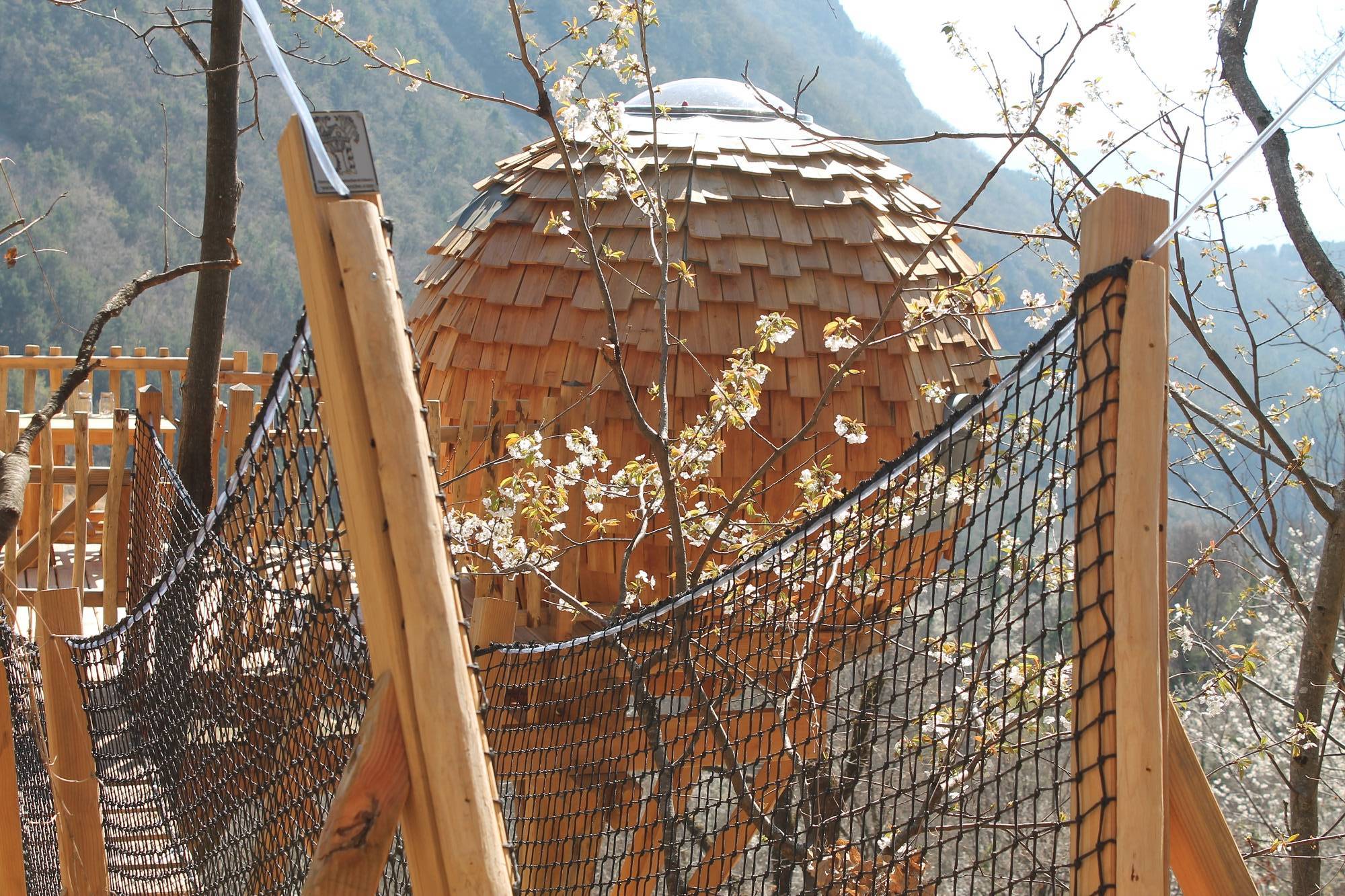 Lov'Nid des Ecrins — Cabane dans les arbres à 5m en Alpes-Maritimes à Belvédere — vue depuis la terrasse