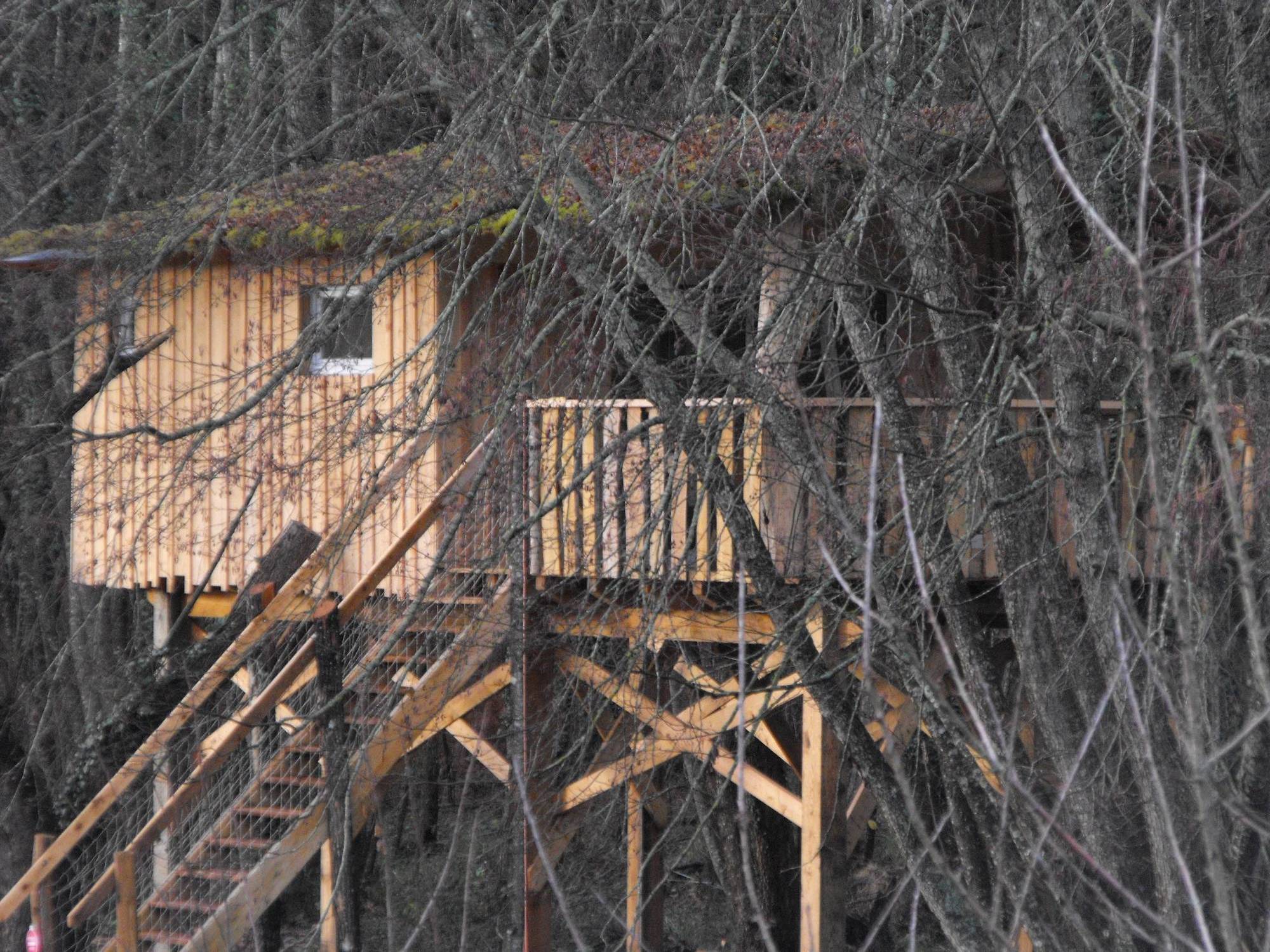 Cabane des Cerfs : une expérience suspendue en Aquitaine à Allons — chambre