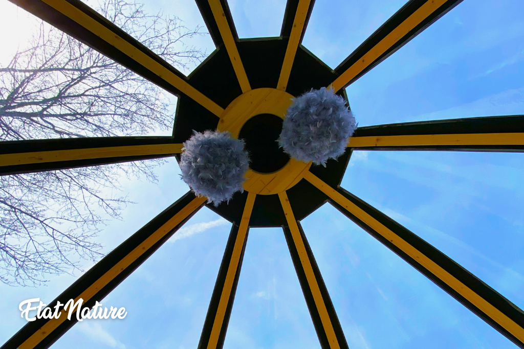 La bulle nuage d'État Nature — Nuit étoilée en Lorraine à Vandières — espace de vie